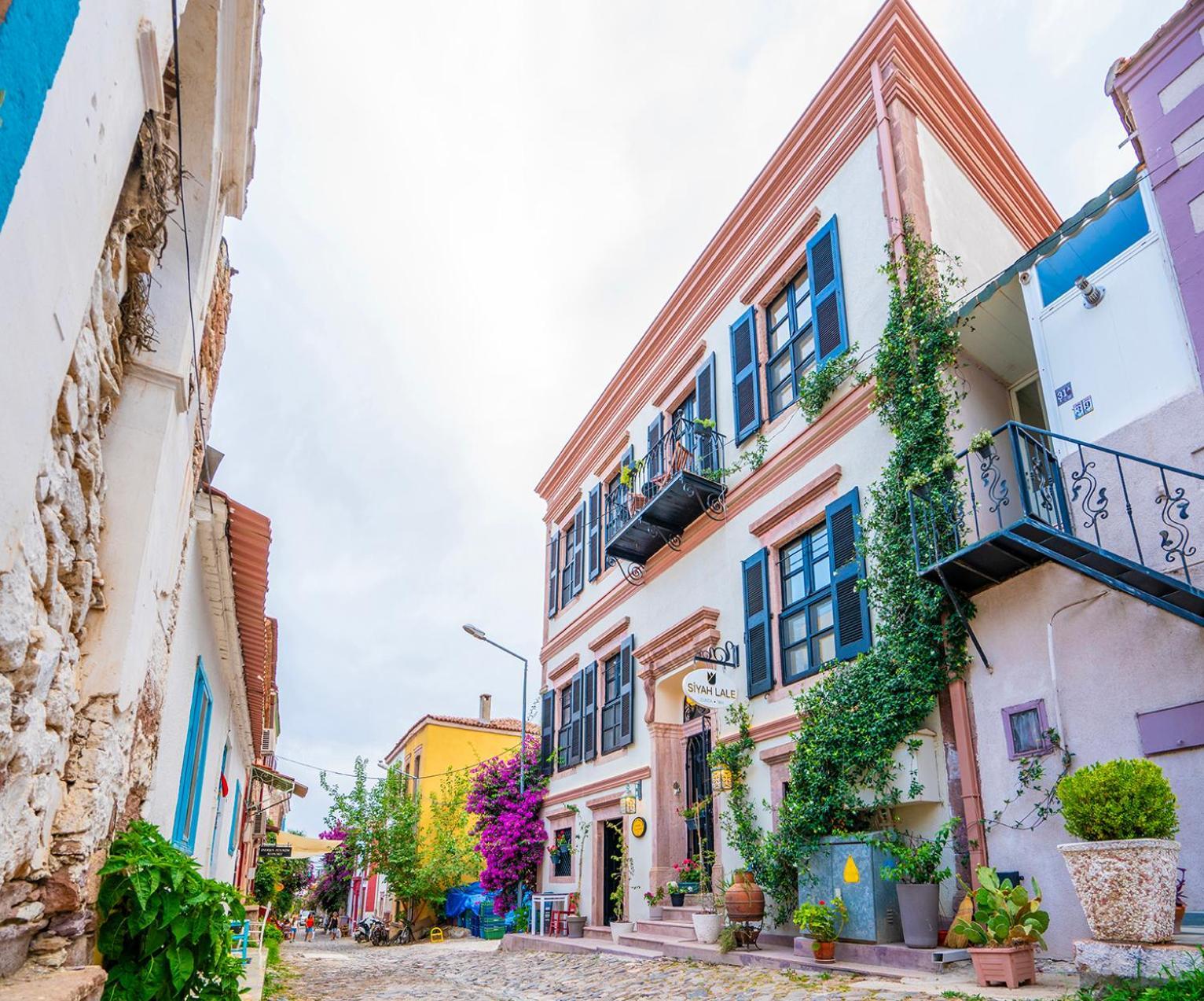 Hotel Siyah Lale Cunda 1841 (adults Only) Ayvalik
