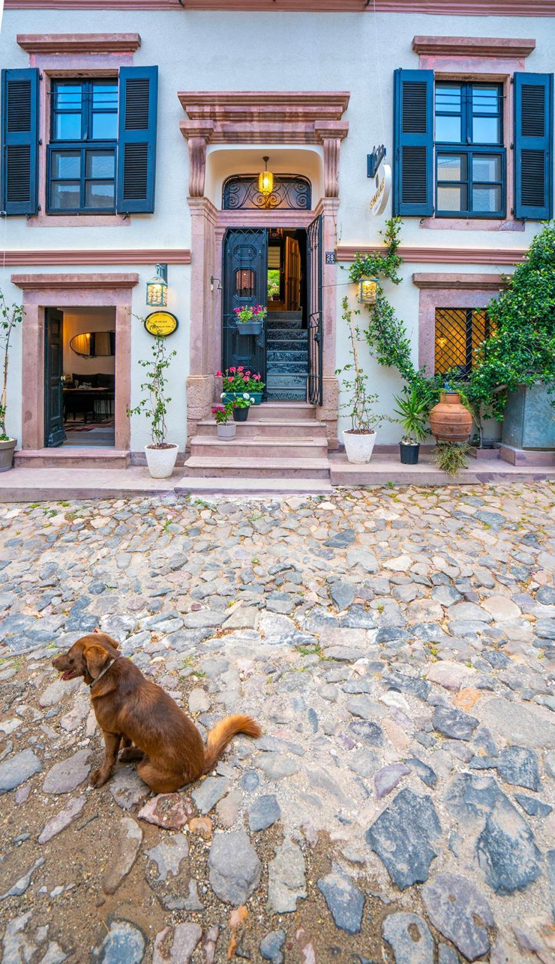 Siyah Lale Cunda 1841 (adults Only) Hotel