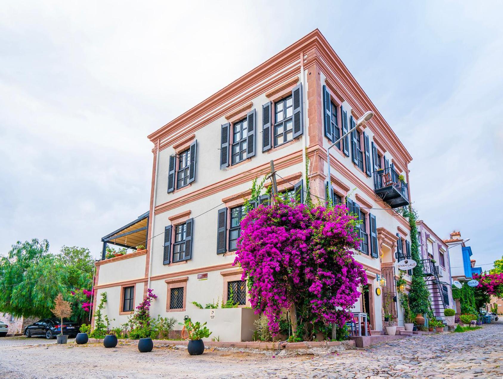 Hotel Siyah Lale Cunda 1841 (adults Only) 2*