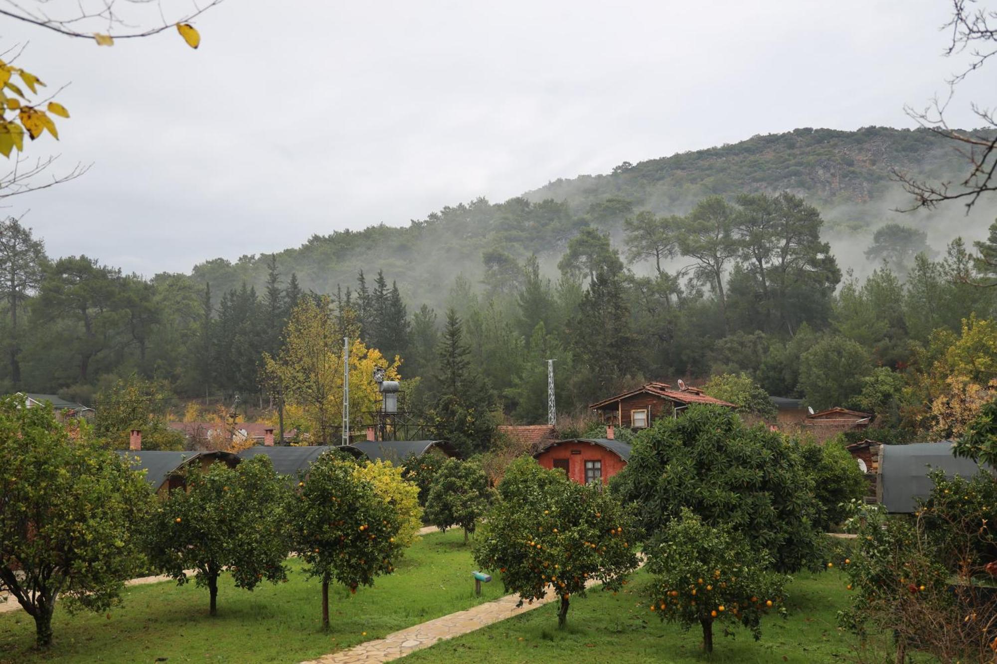Guest house Simurg Evleri Olympos