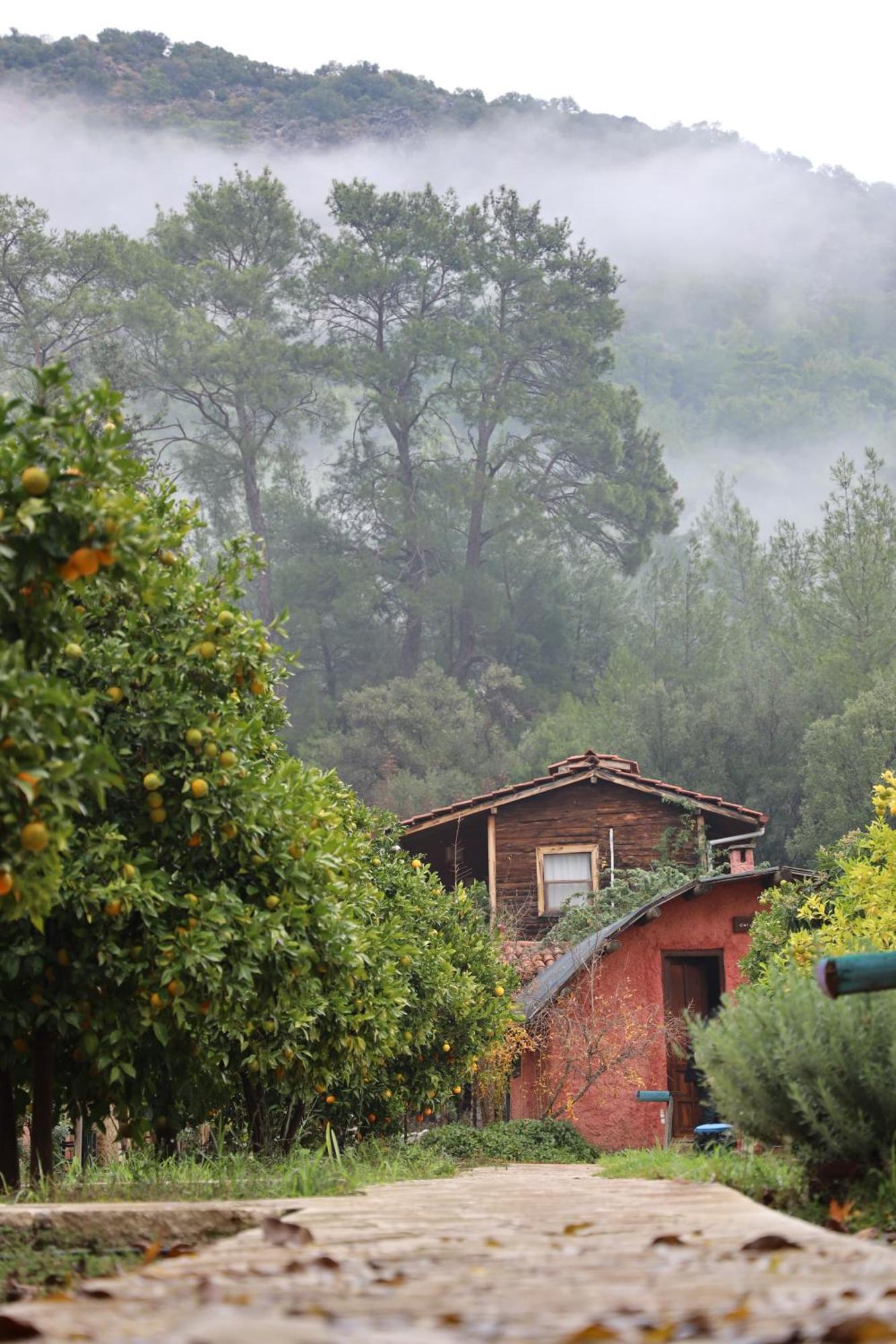 Simurg Evleri Olympos