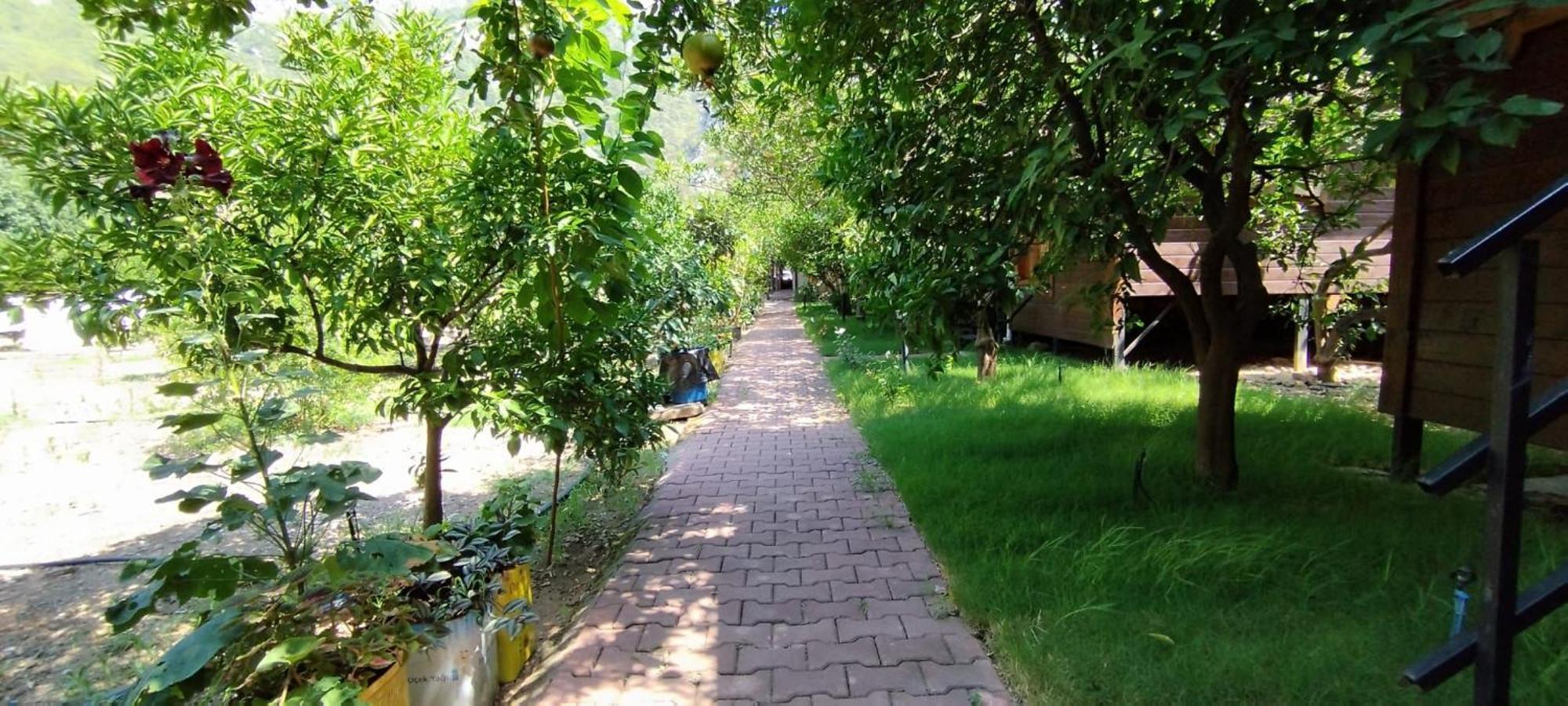 Guest house Varuna & Restaurant *