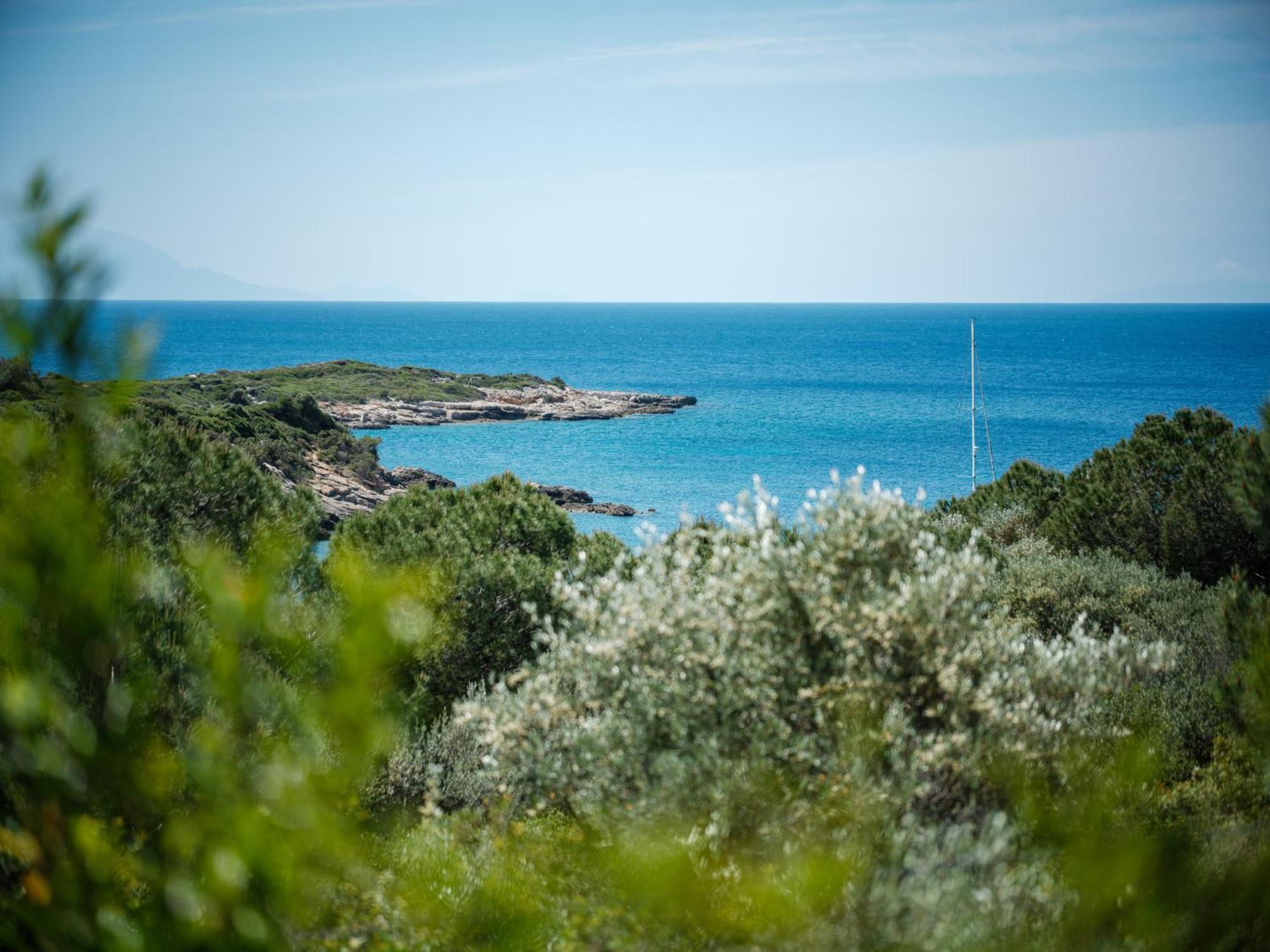 Hiddenbay Teos Sigacik Hotel, And Restaurants