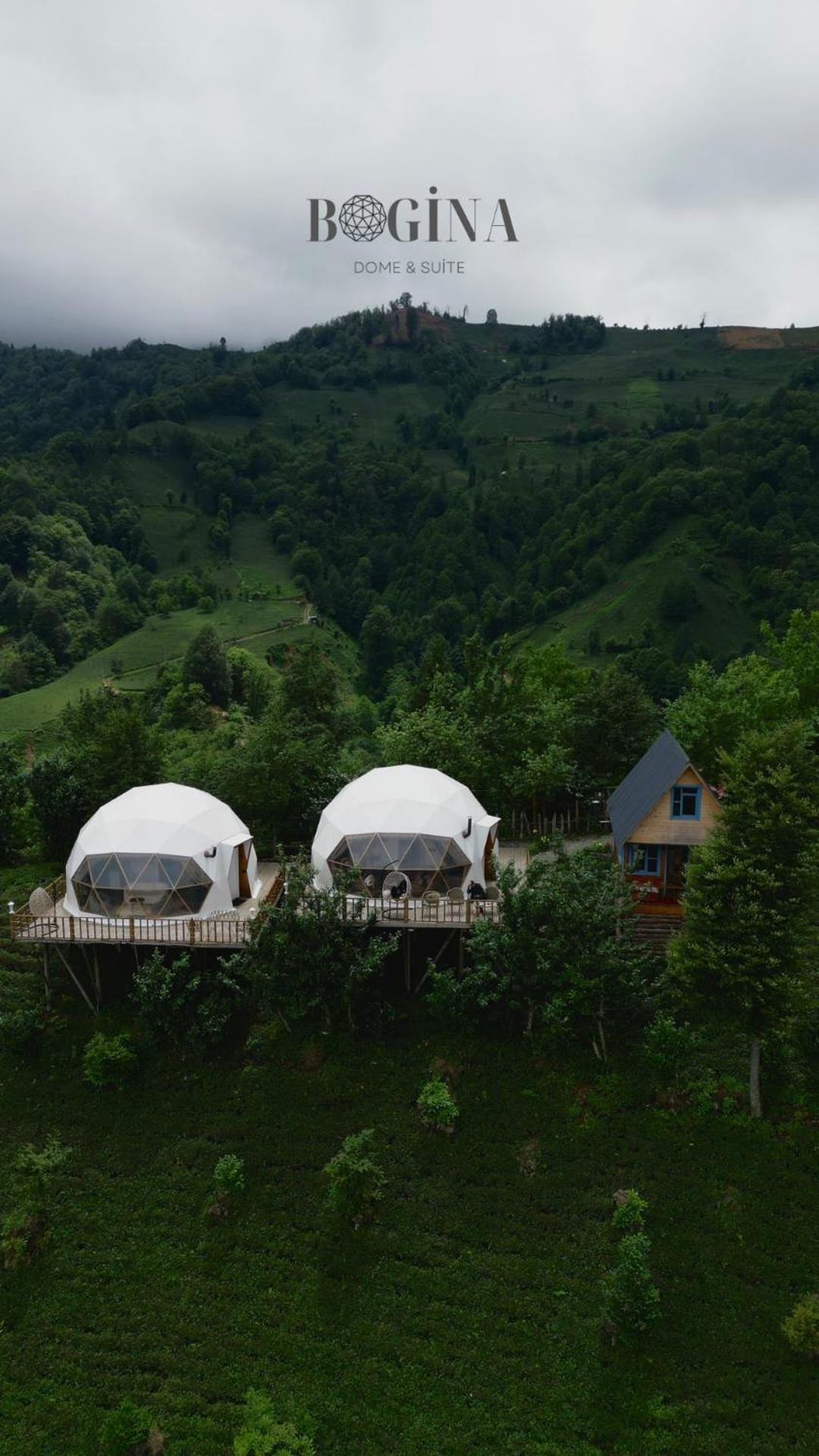 Bogina Dome & - *