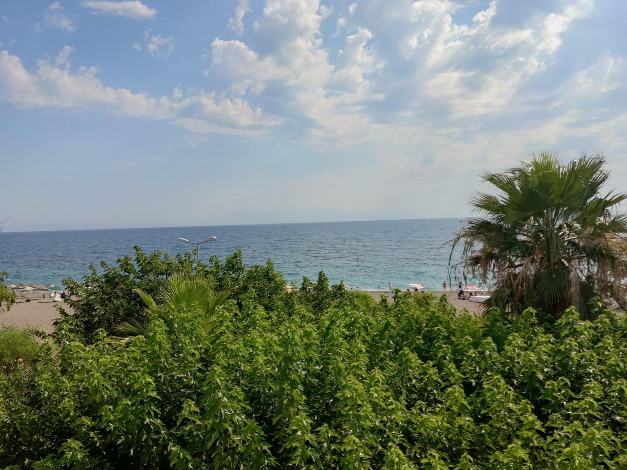 Hotel Palmiye 3*