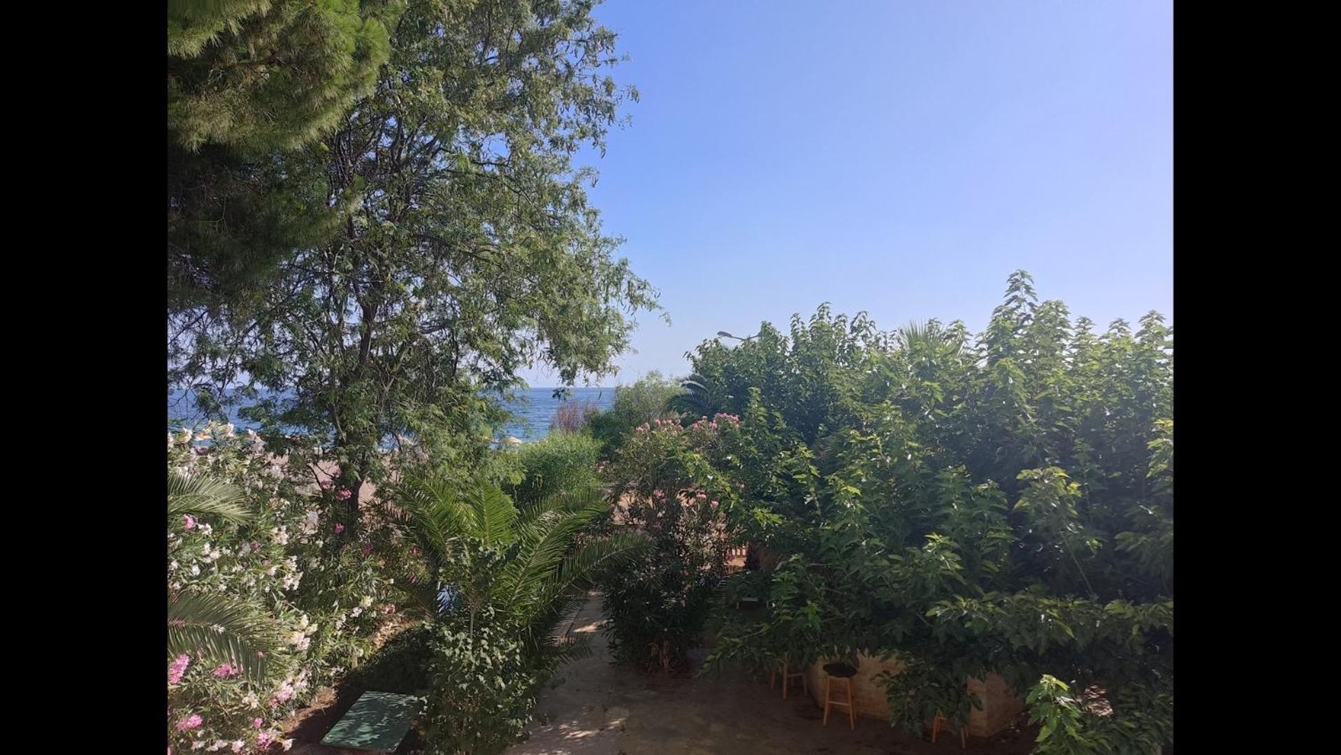 Hotel Palmiye