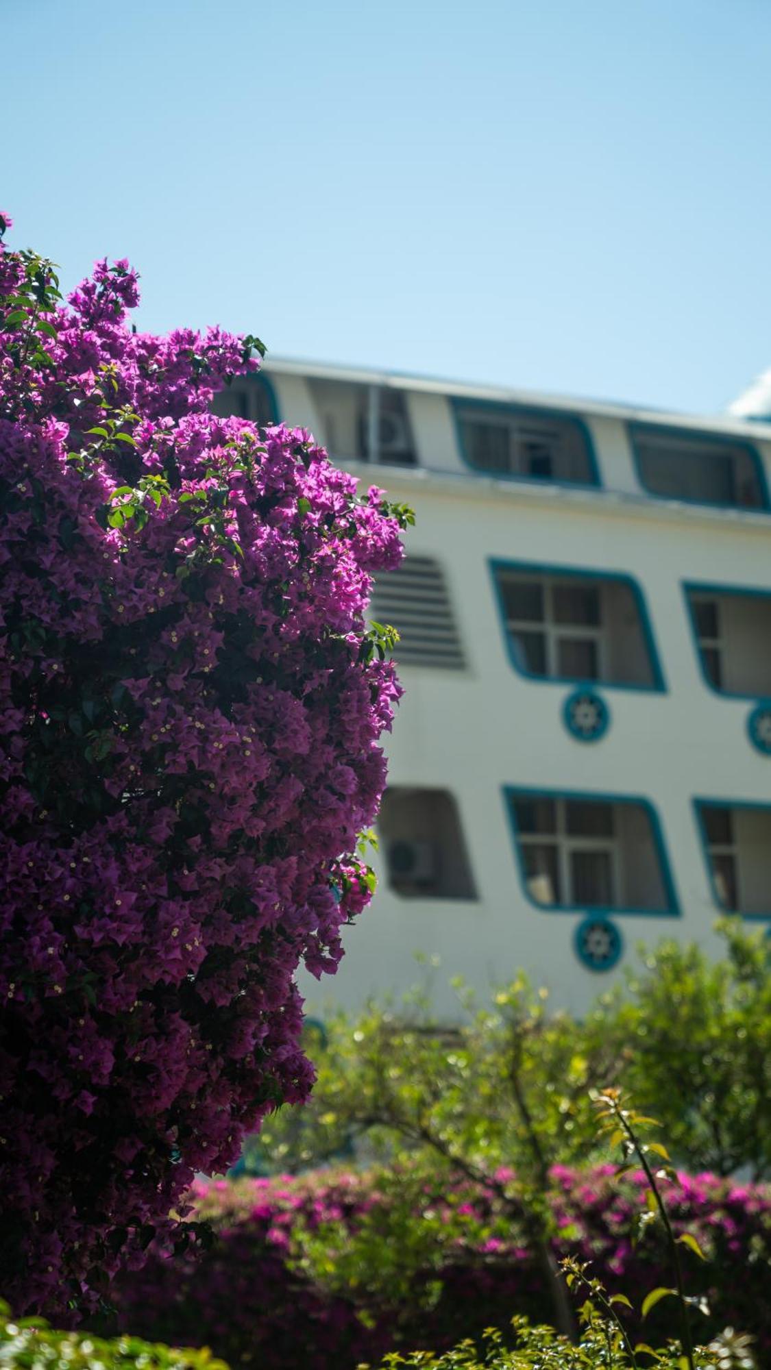 Hotel Miarosa