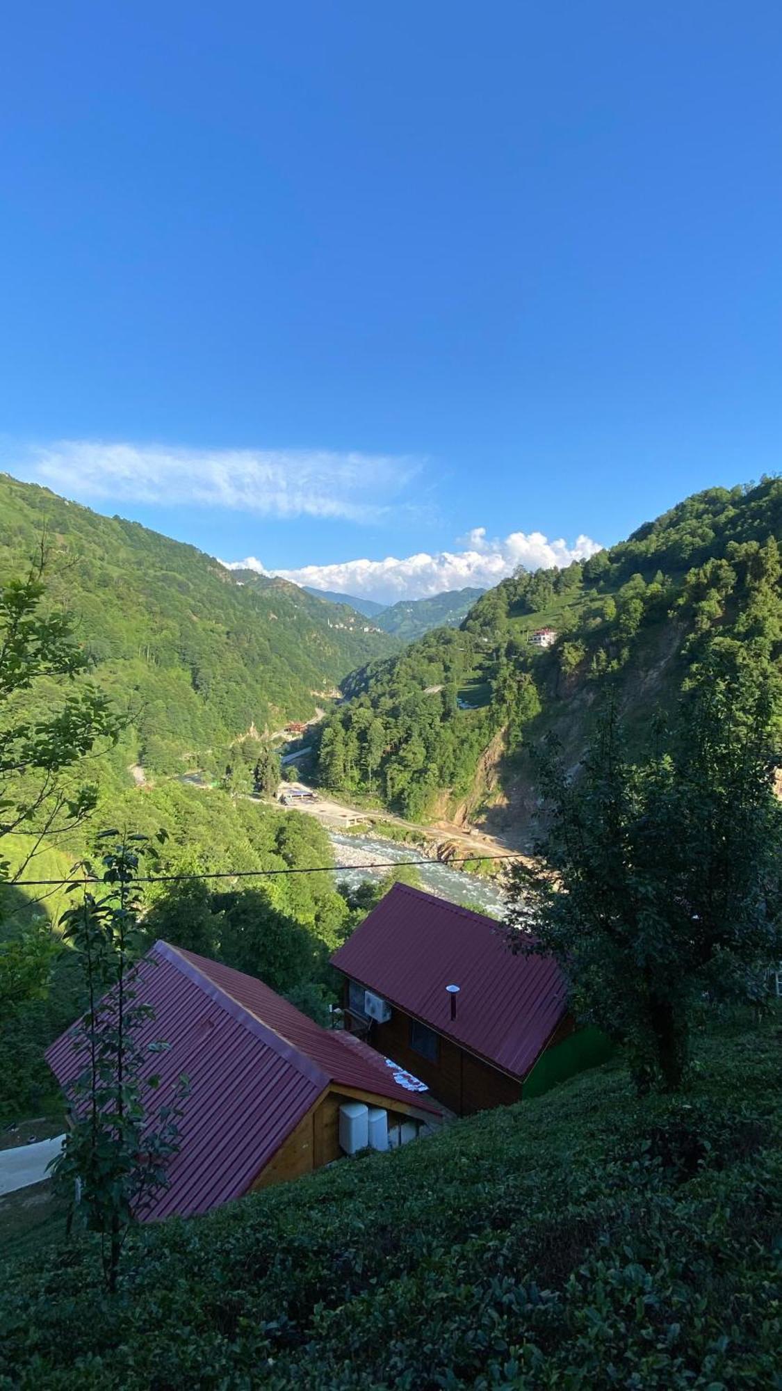 Sifo'nun Tatil Koeyue Capsule hotel Ardesen