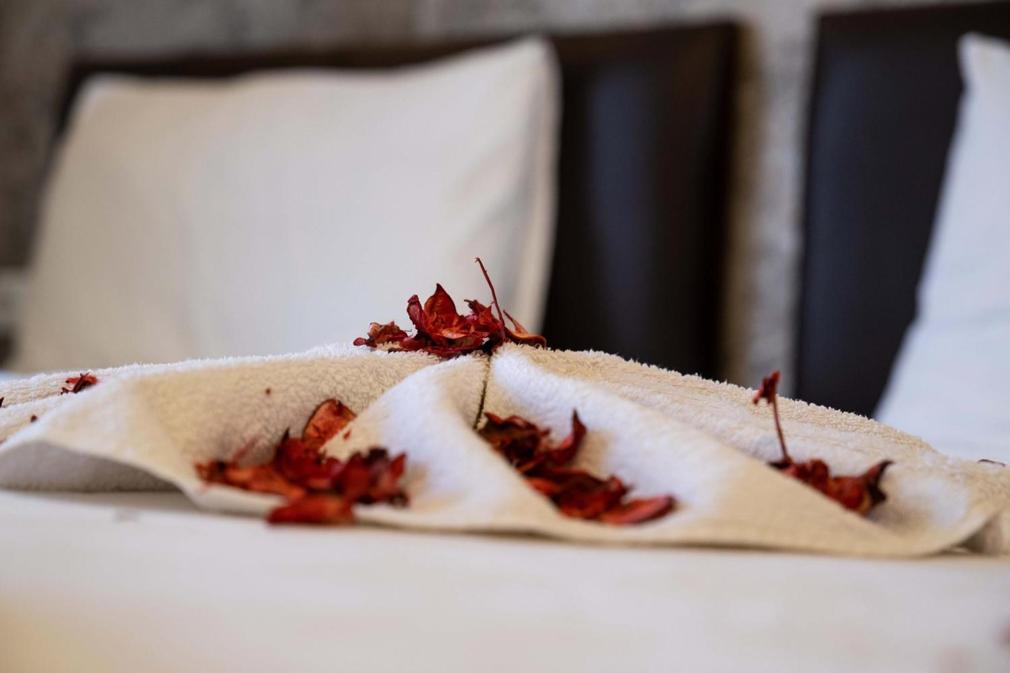 Ikarushotel Hotel Aydin