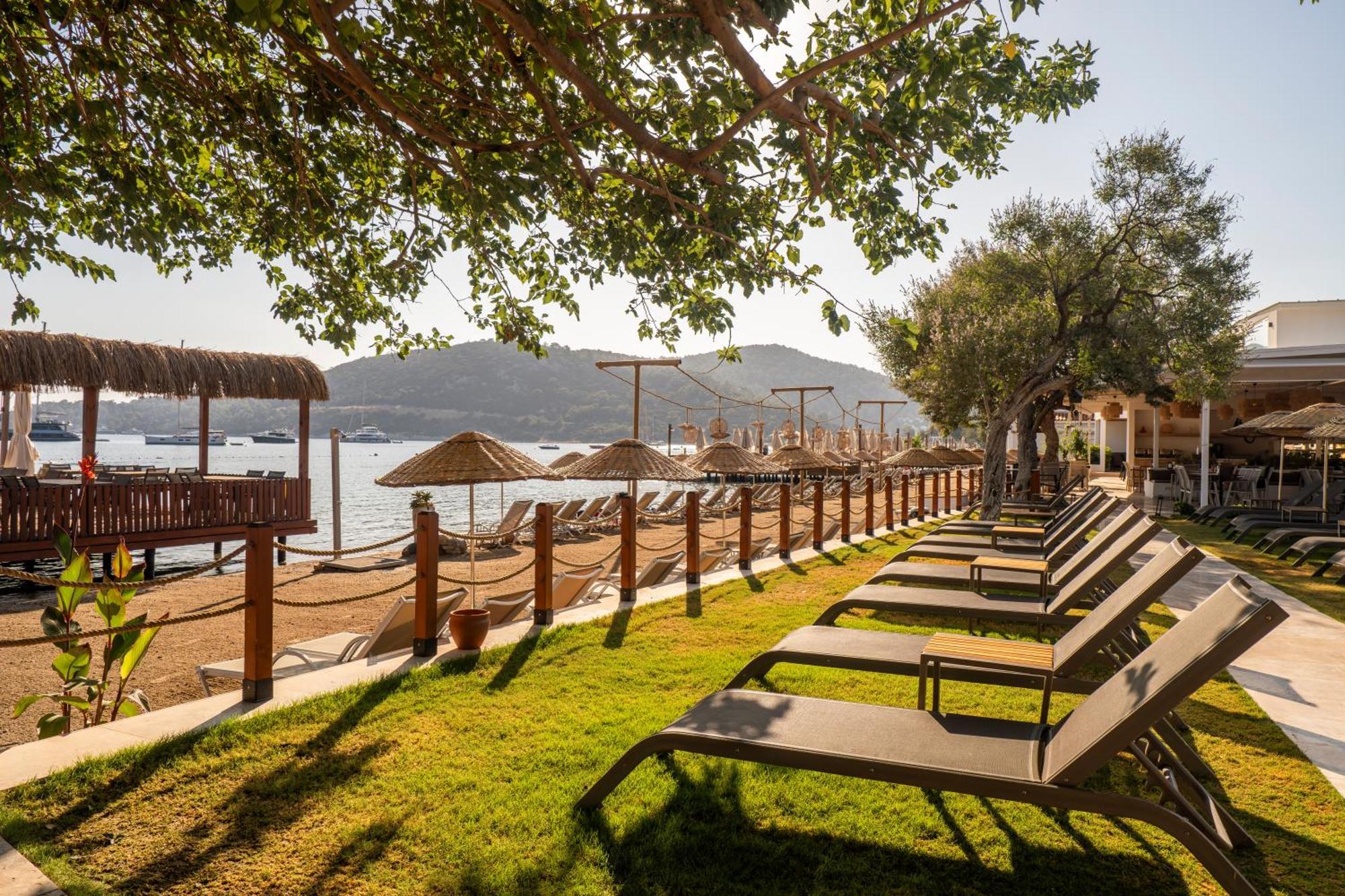 Hotel Daphnis Golturkbuku