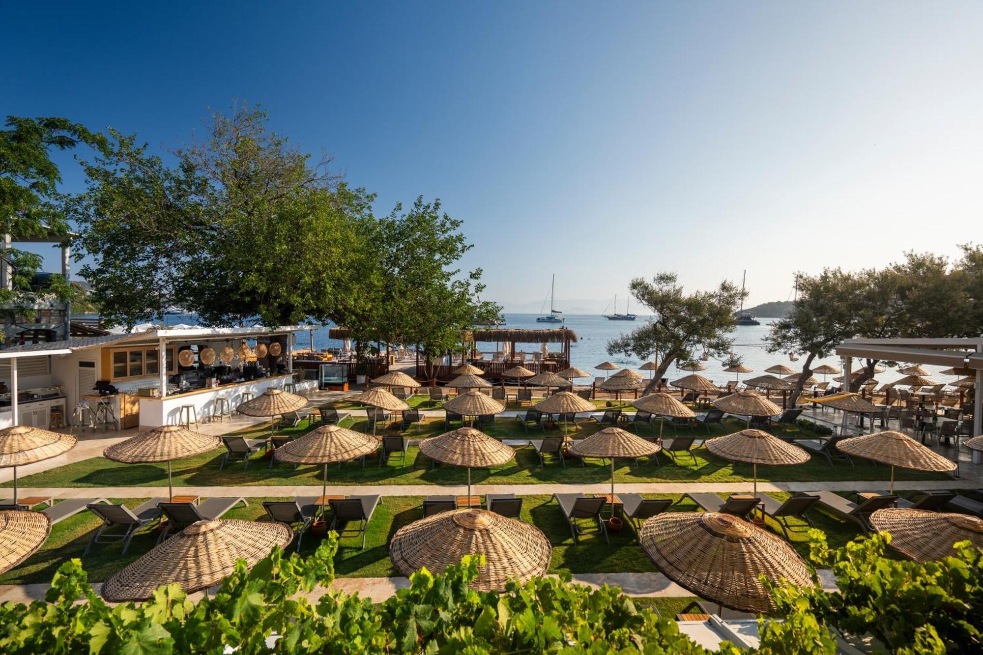 Hotel Daphnis Golturkbuku