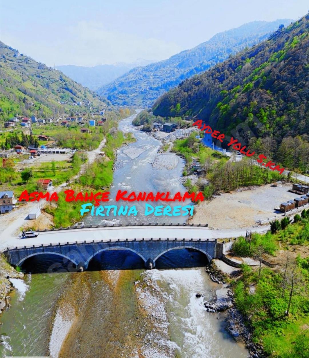 Asma Bahce * Ardesen