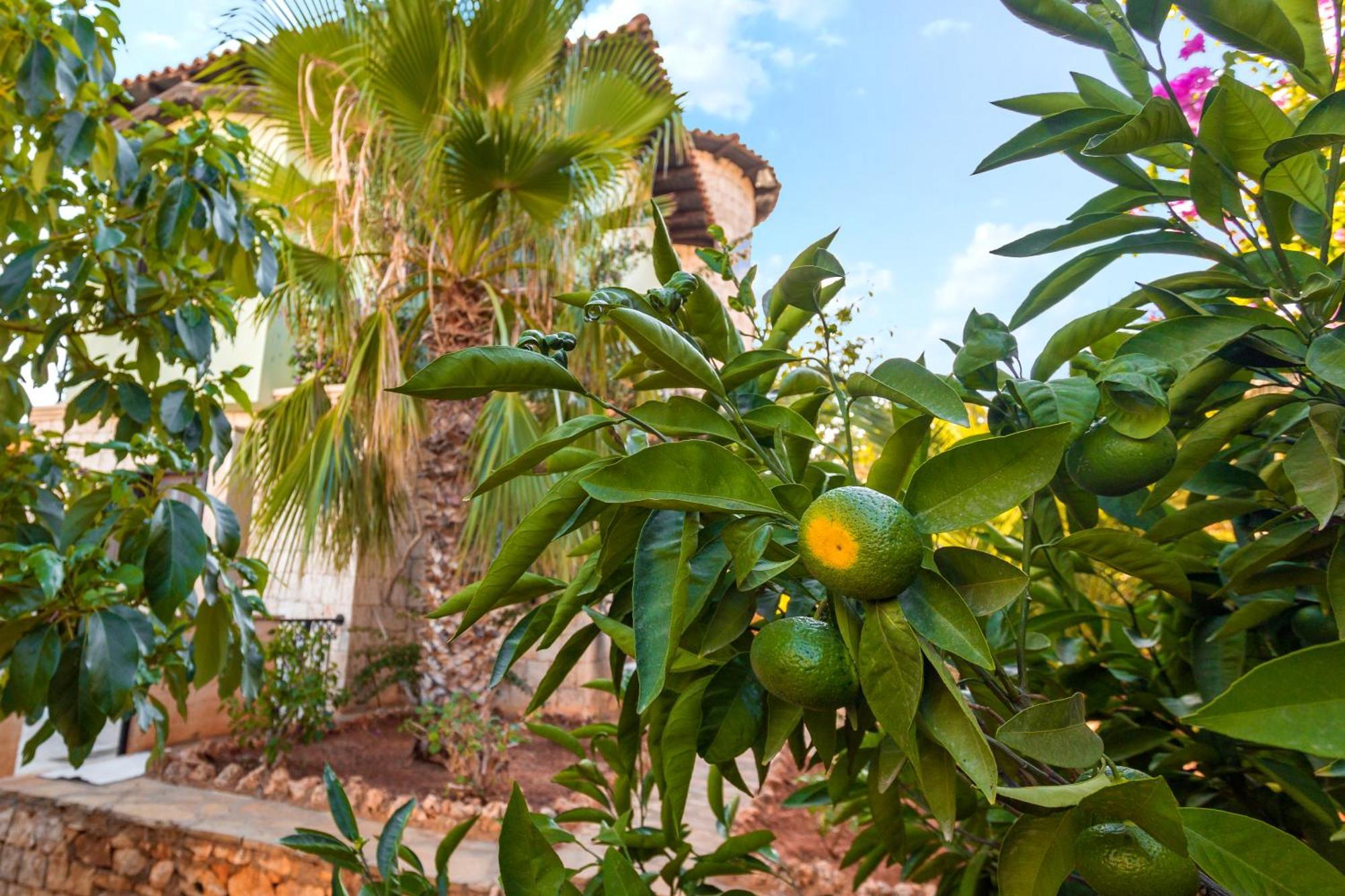 Mandalina Villa *