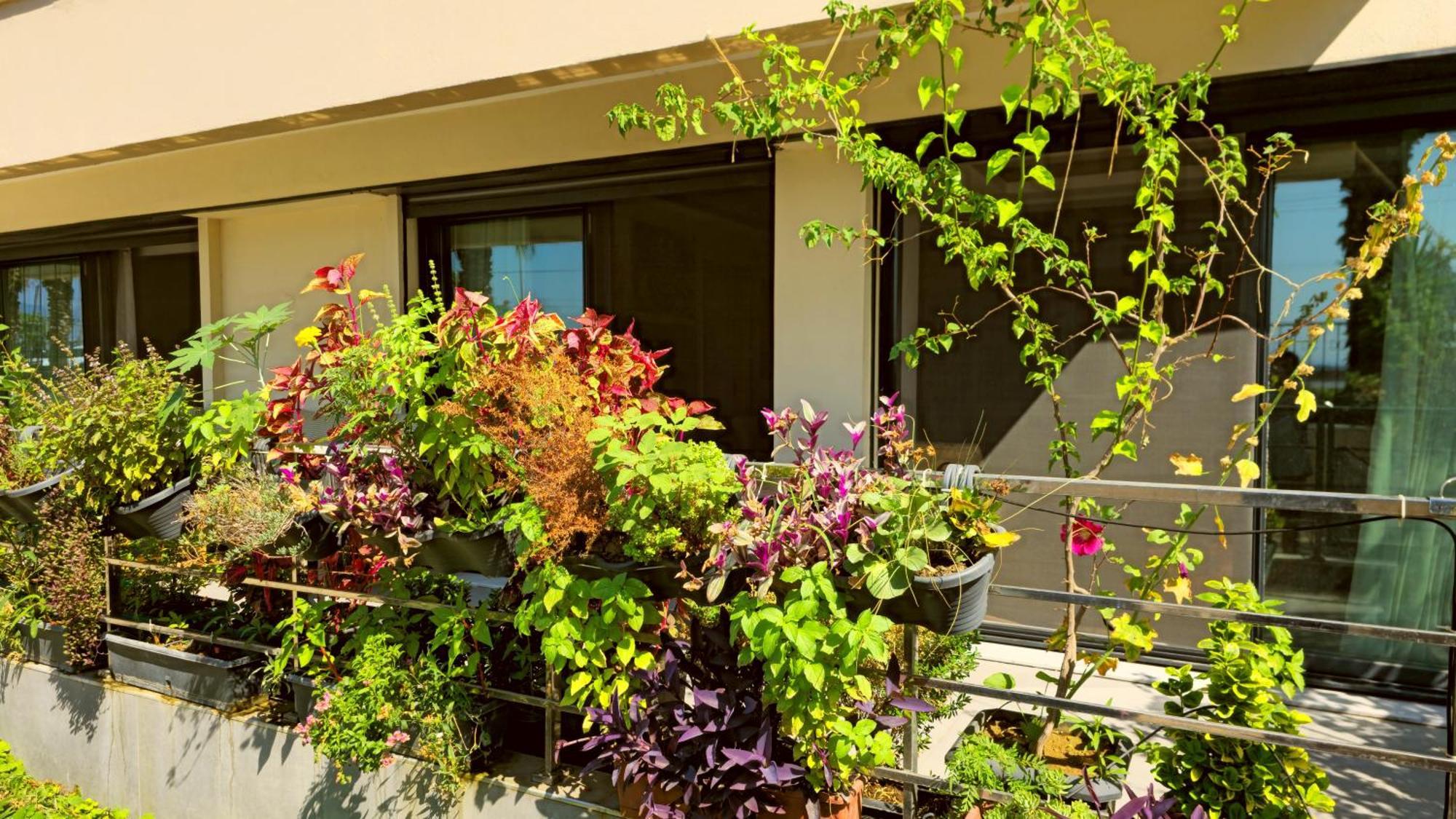 Apartment Elegant & Cozy Retreat Home, Center Gem By The Seaside, Steps From The Tram *