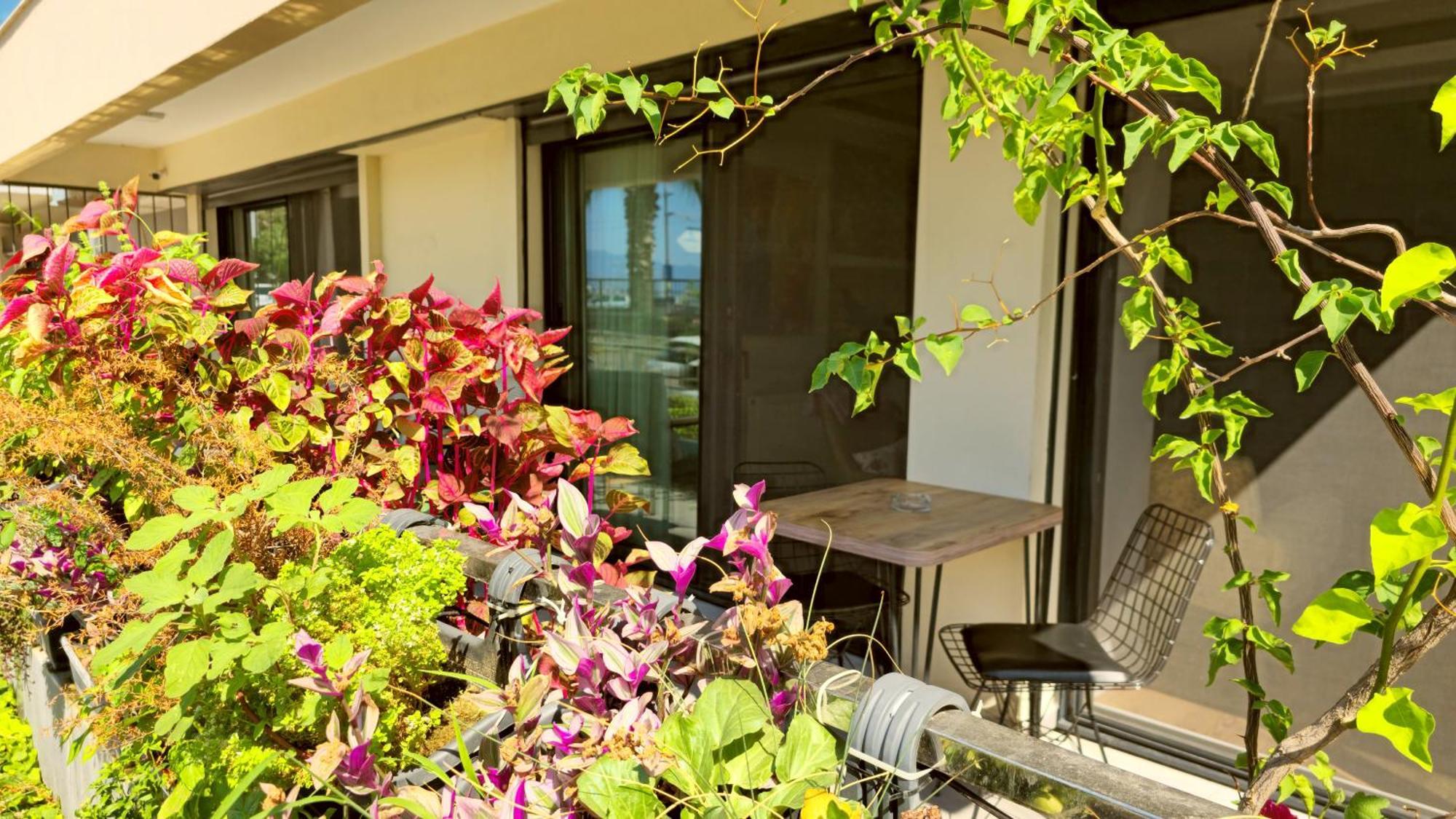 Apartment Elegant & Cozy Retreat Home, Center Gem By The Seaside, Steps From The Tram