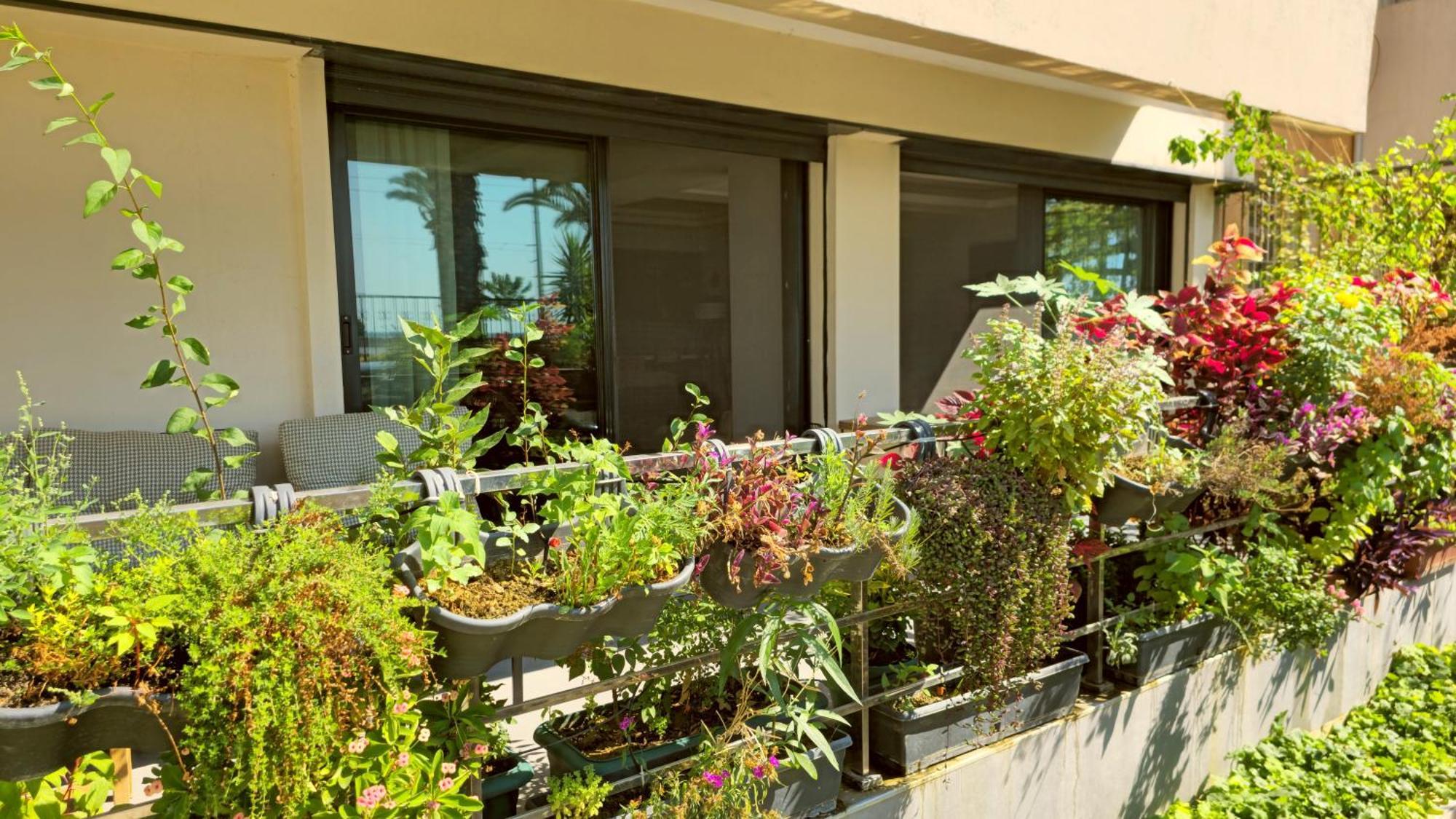 Elegant & Cozy Retreat Home, Center Gem By The Seaside, Steps From The Tram *