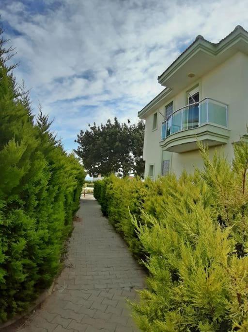 Poseidon Marine Villa *