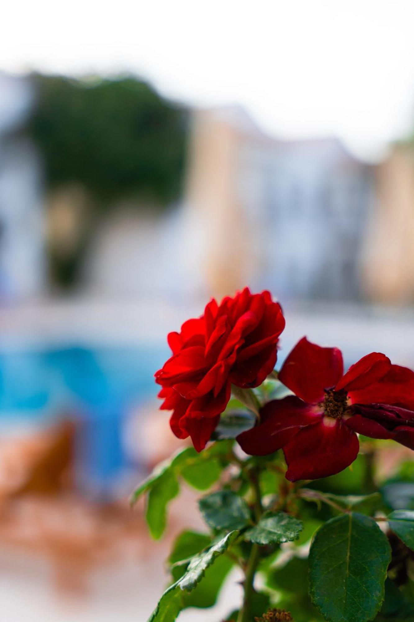 Feri Surf Club Hotel Datca
