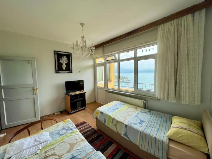 Boztepe Marin Denizer Amasra
