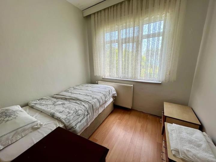 Boztepe Marin Denizer Amasra