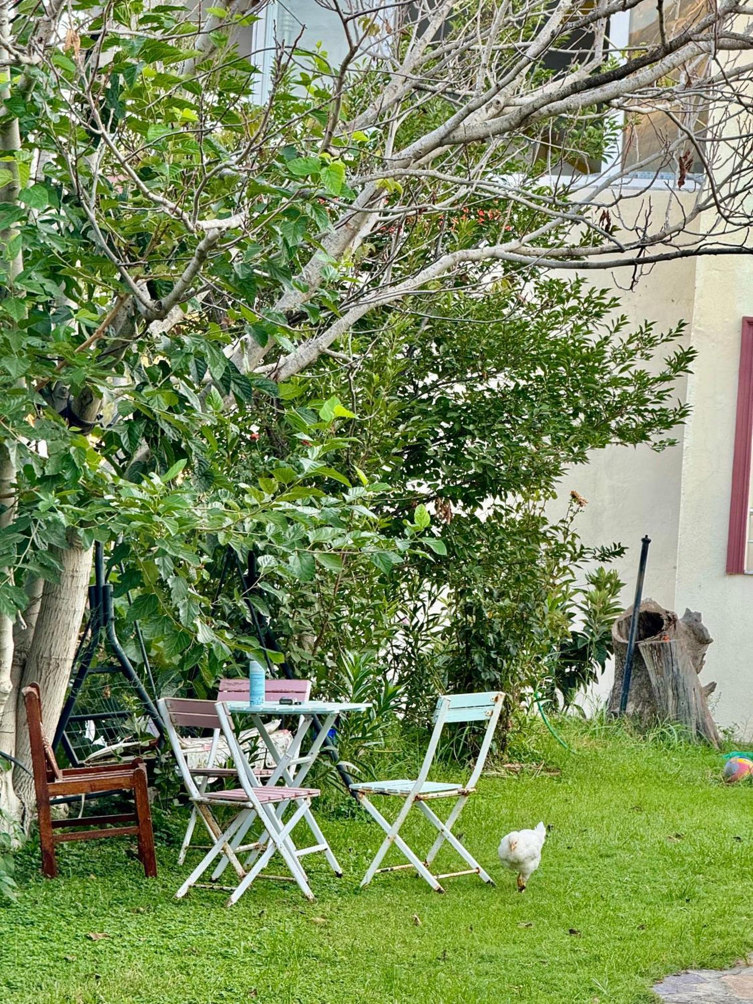 Guest house Rose Patara
