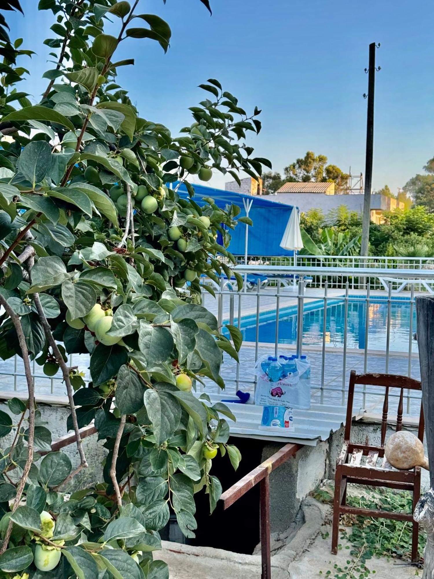 Rose Guest house Patara