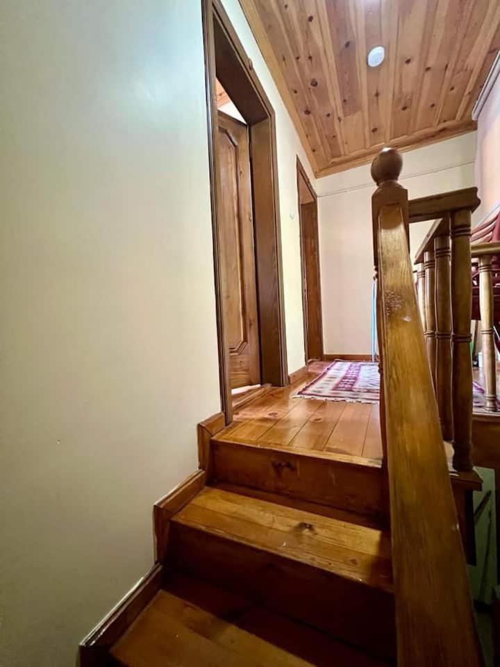 Homestay Yasar Marin Denizer