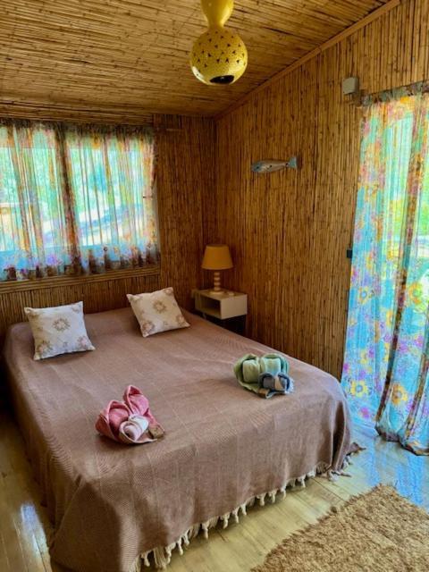 Turan Hill Lounge Holiday park Faralya