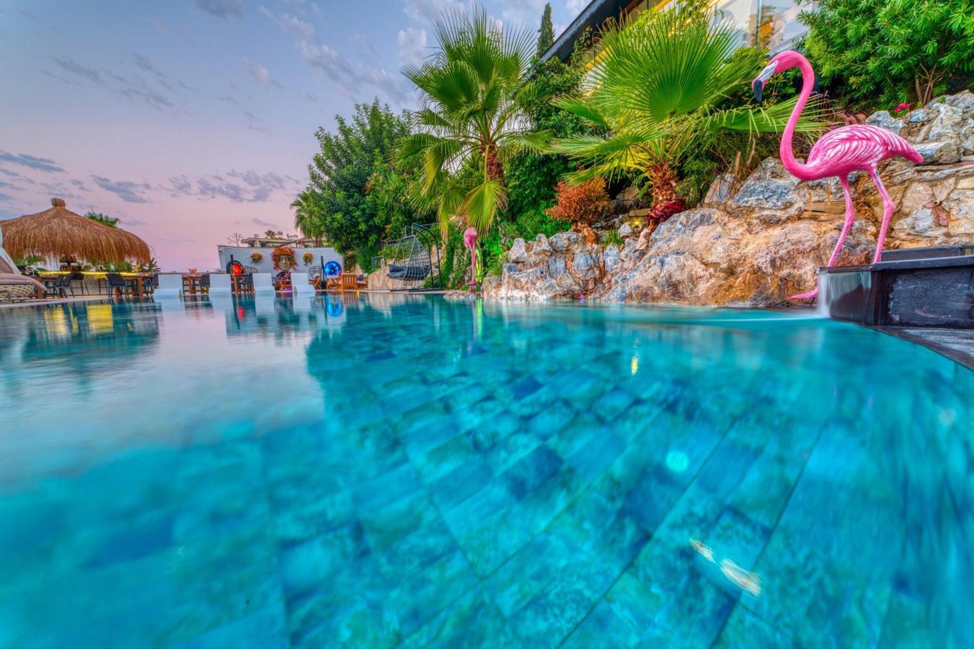 Hotel Illusion Clubhotel Only Adult Alanya