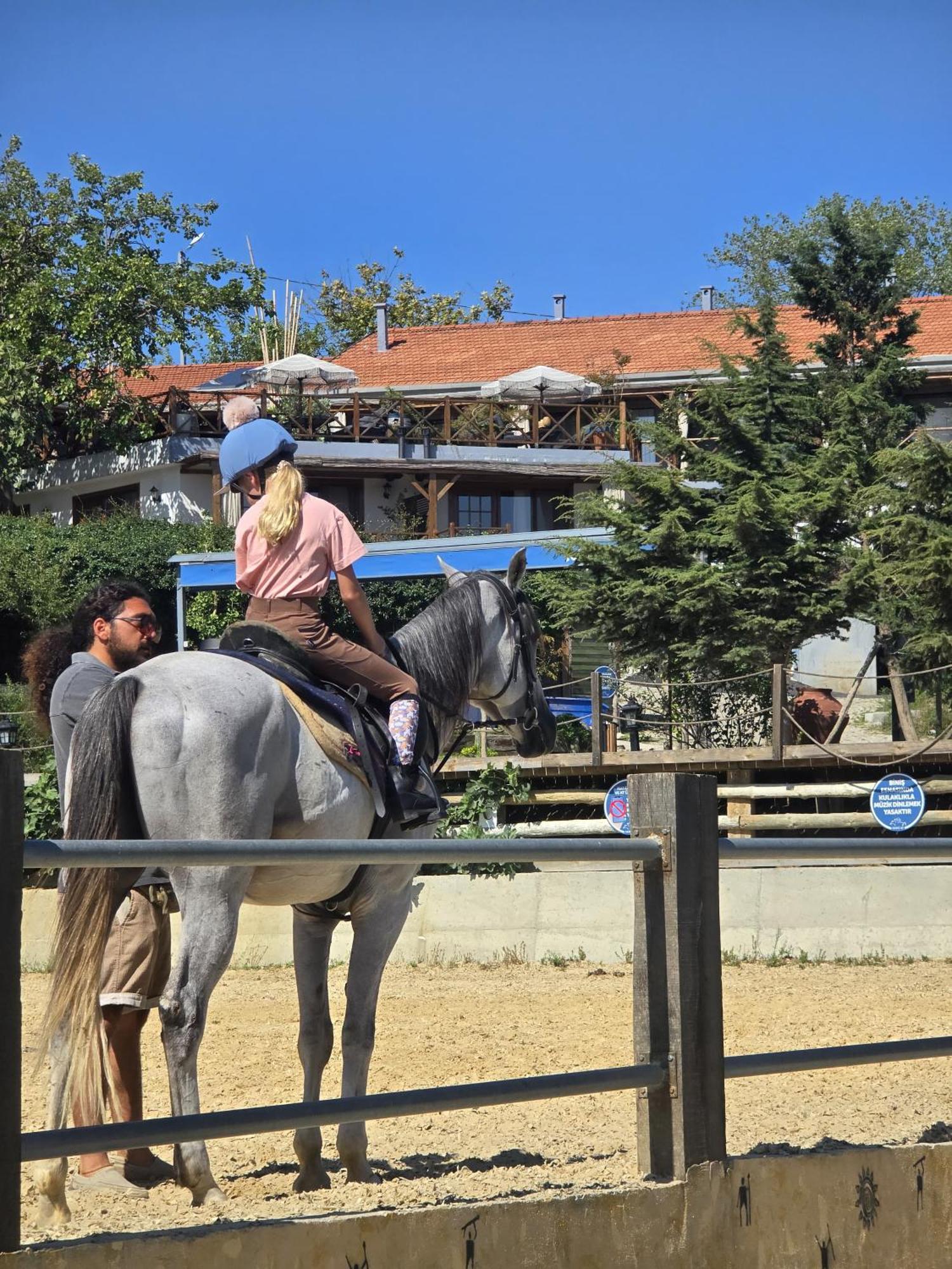 Mavi At Blue Horse *