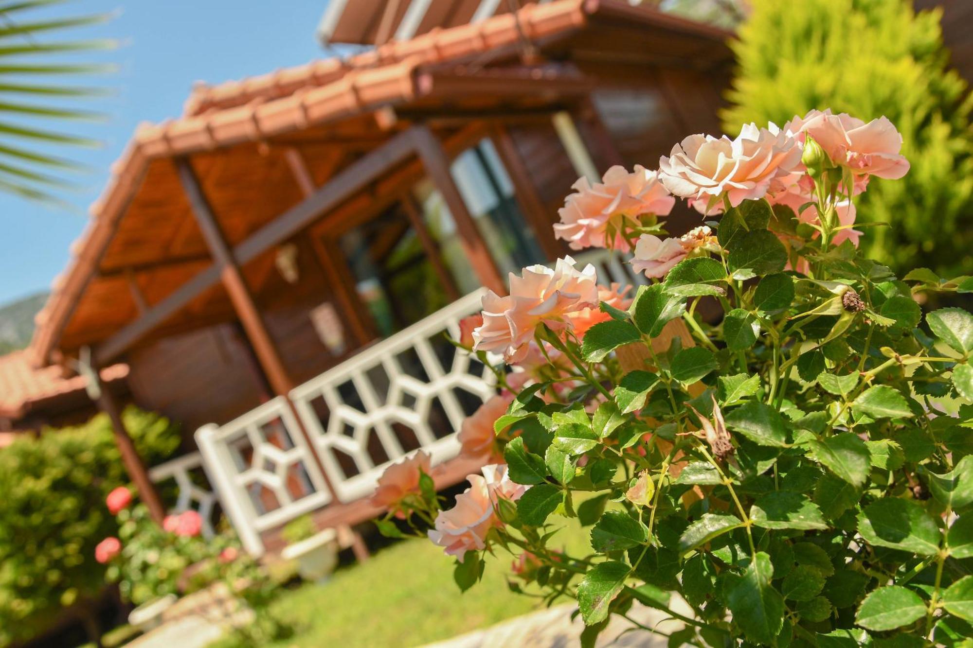 Holiday home Efsane *
