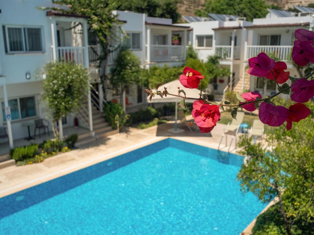 Hotel Gumusluk