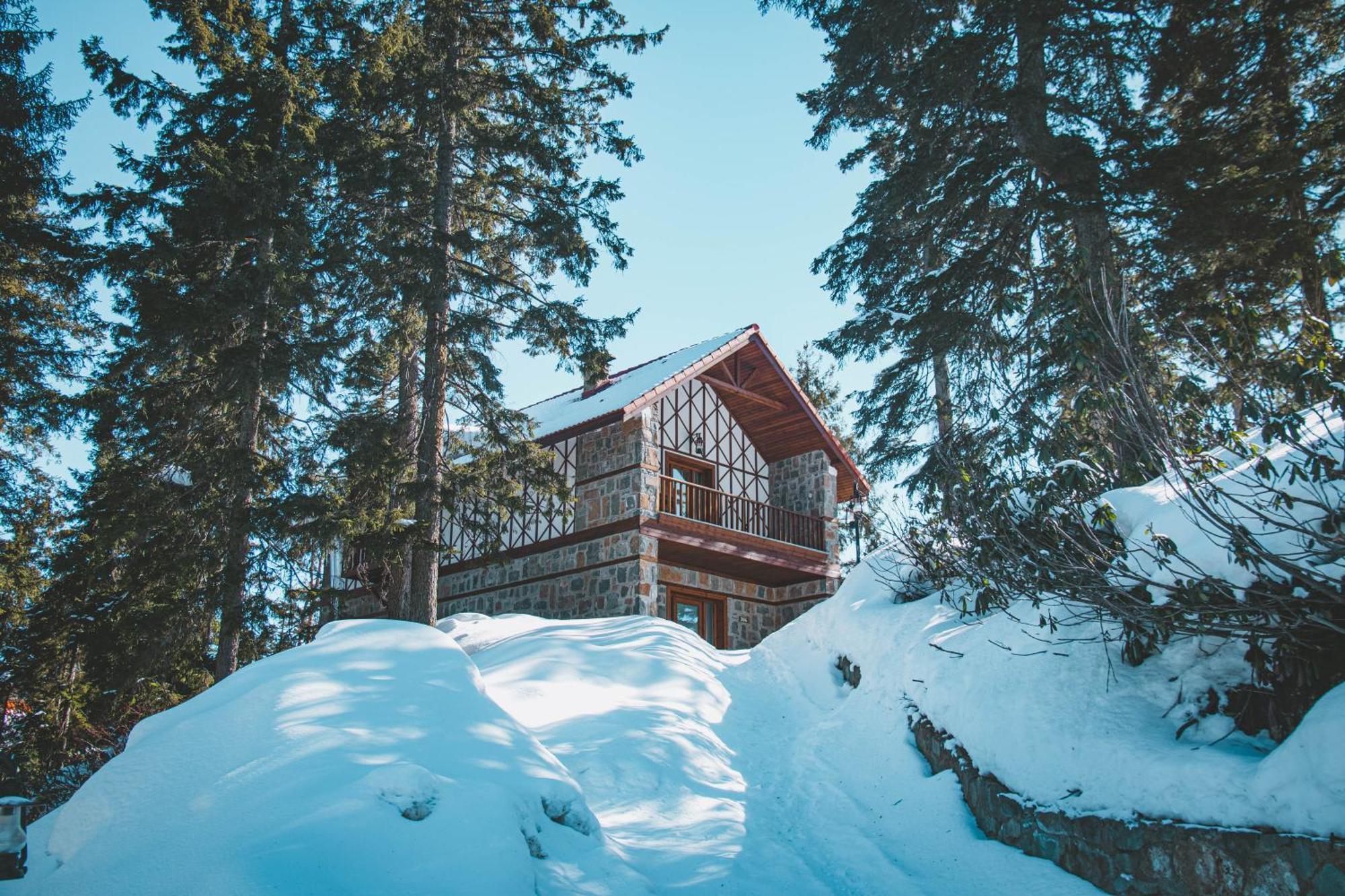 Foleya Mountain & Trabzon