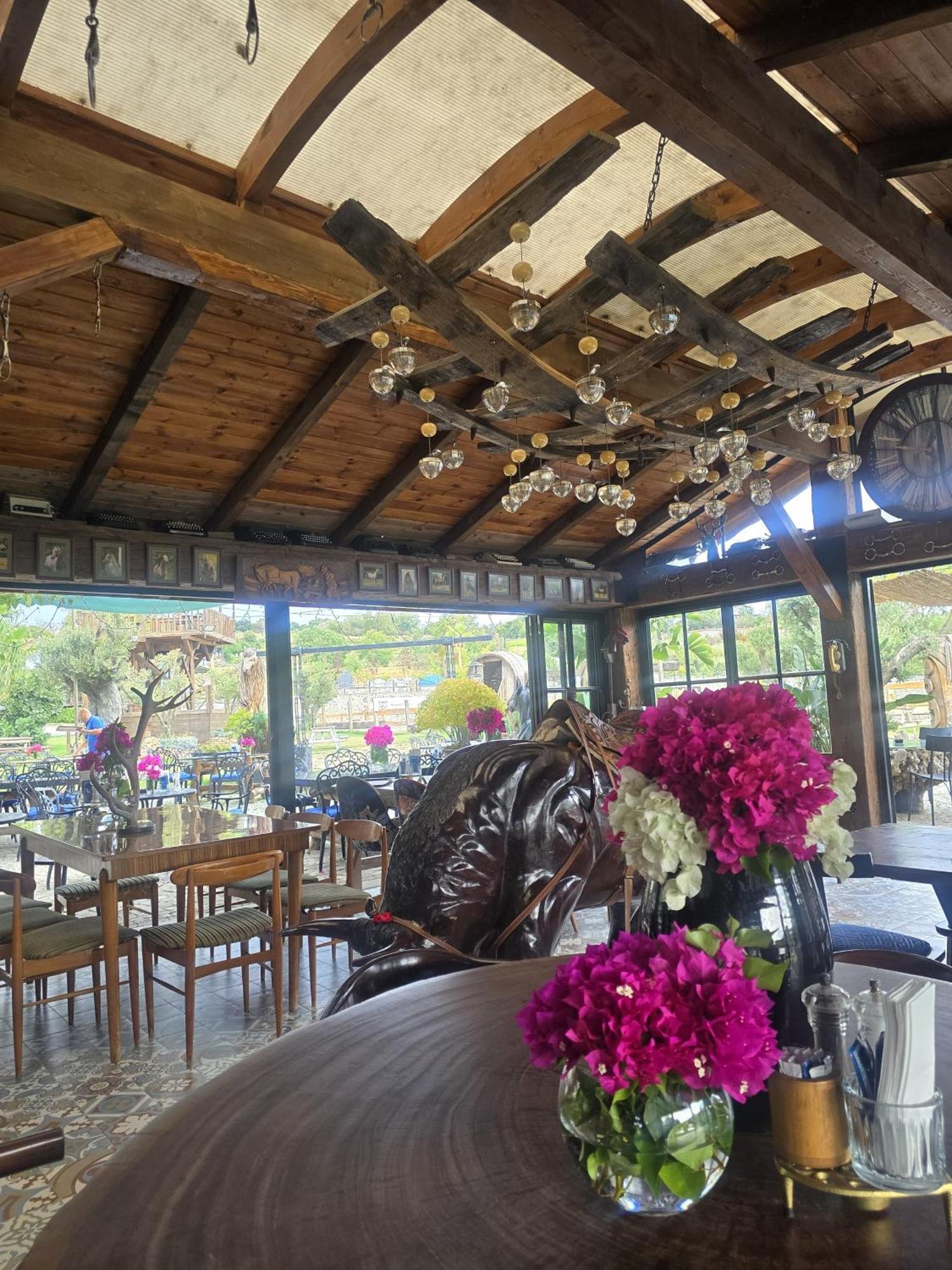 Mavi At Blue Horse Gumusdere
