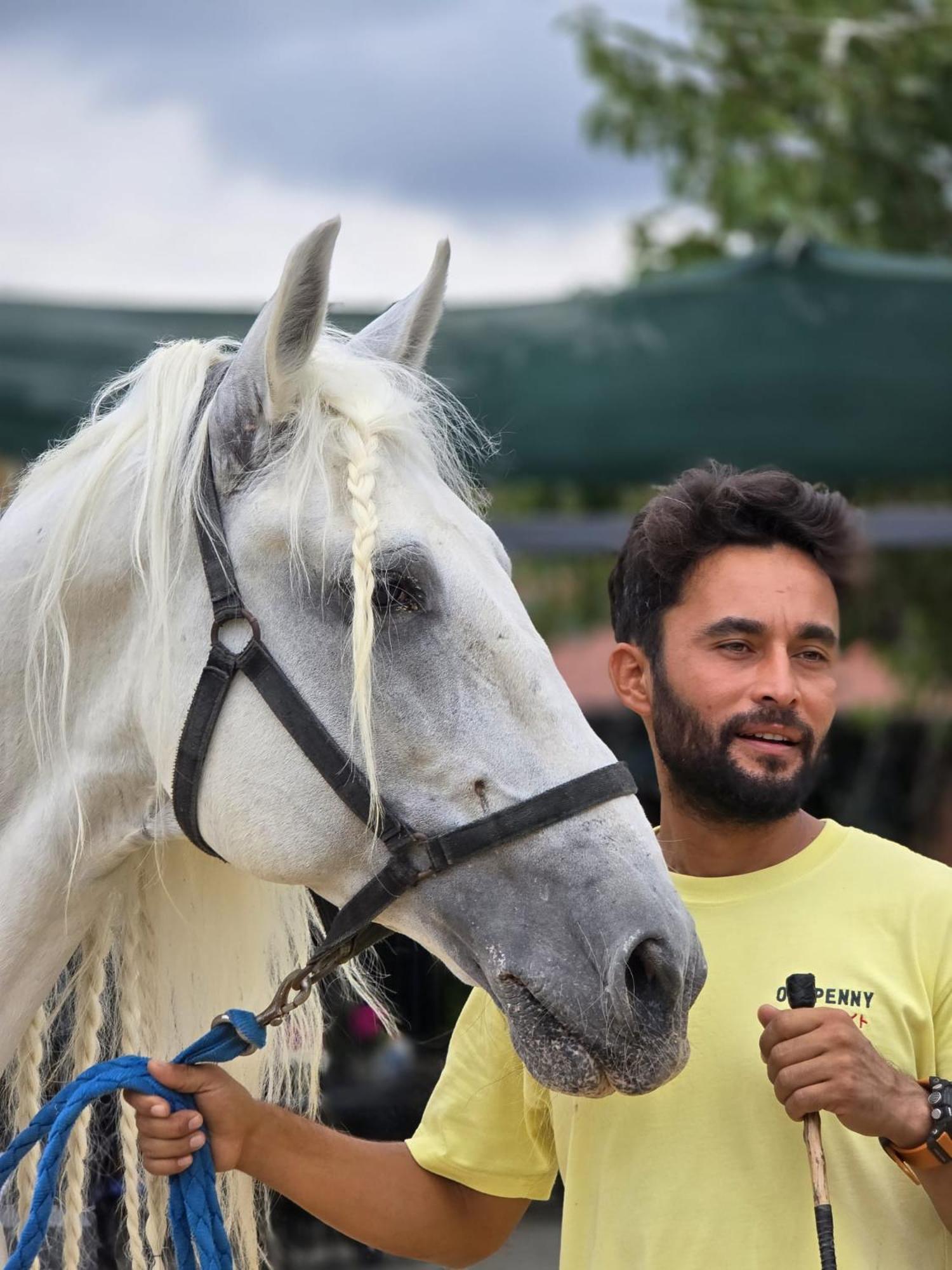 Mavi At Blue Horse Resort *