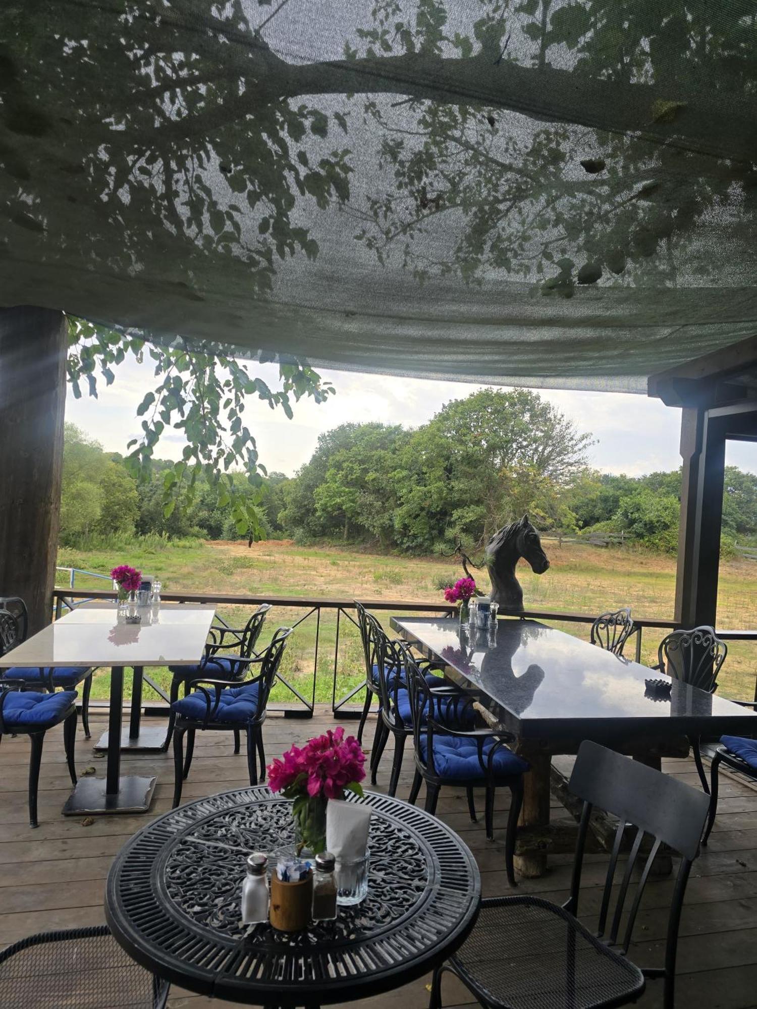 Resort Mavi At Blue Horse Gumusdere