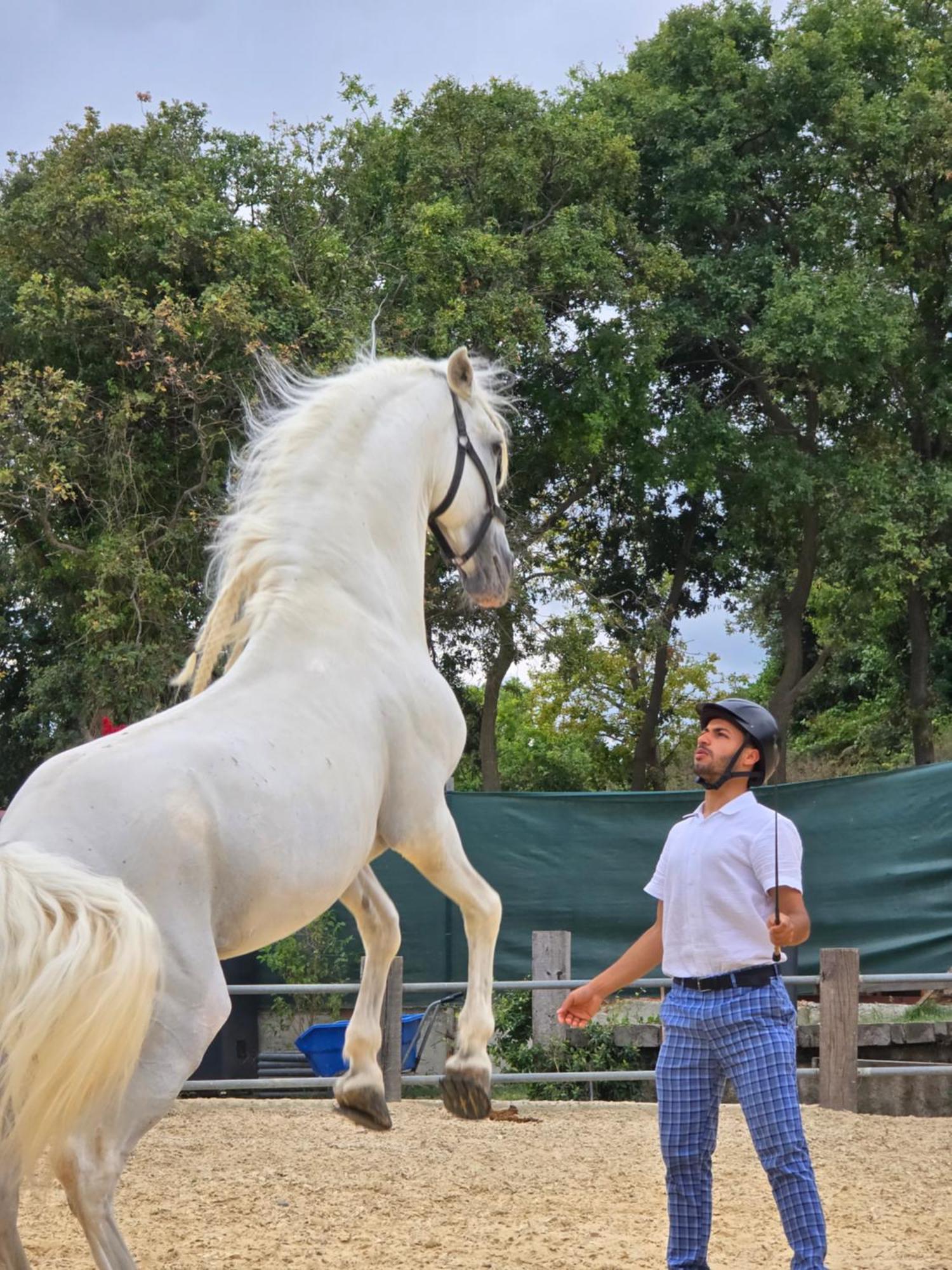 Mavi At Blue Horse *