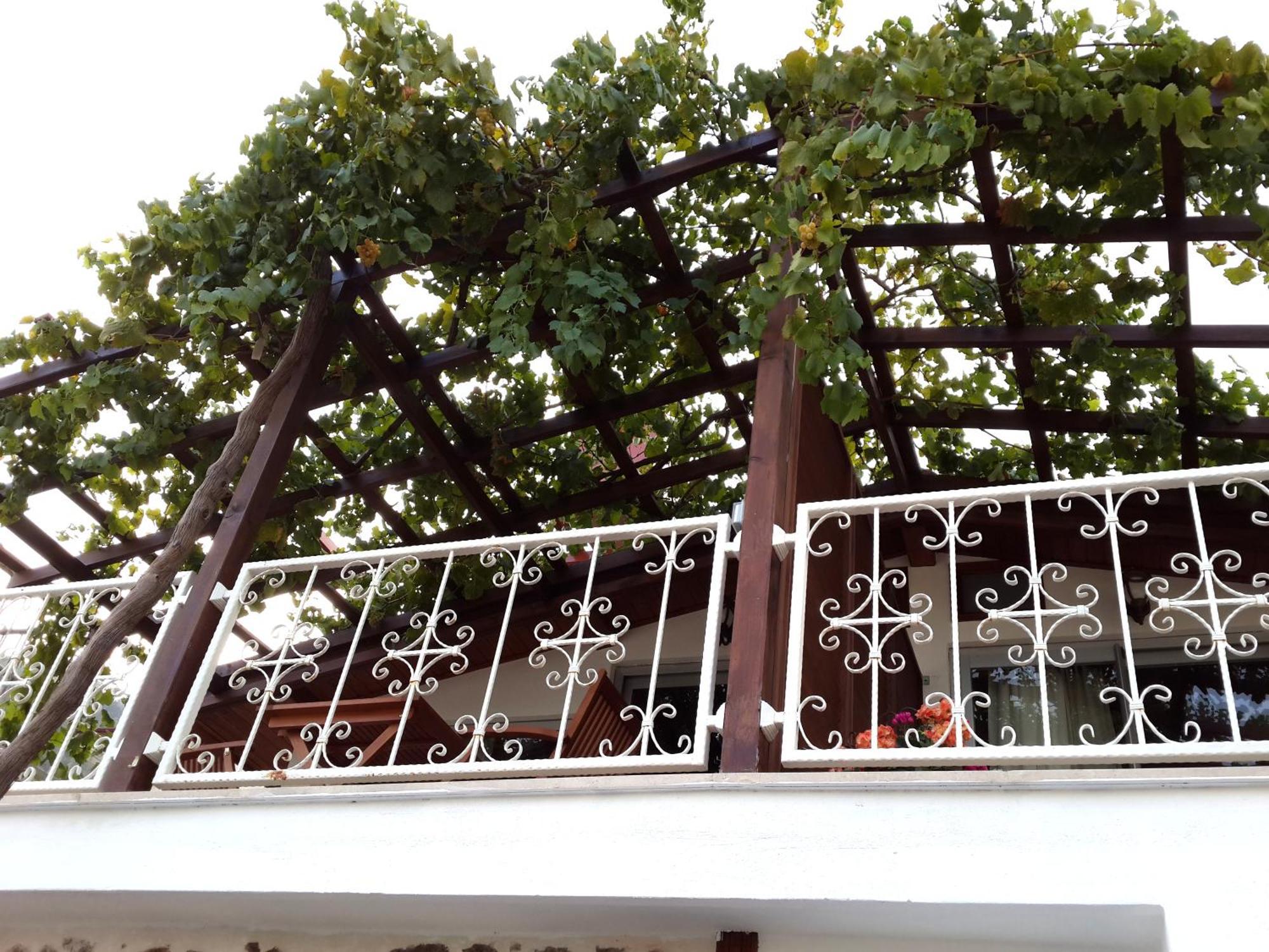 Lemon - Adult Only Hotel Alanya