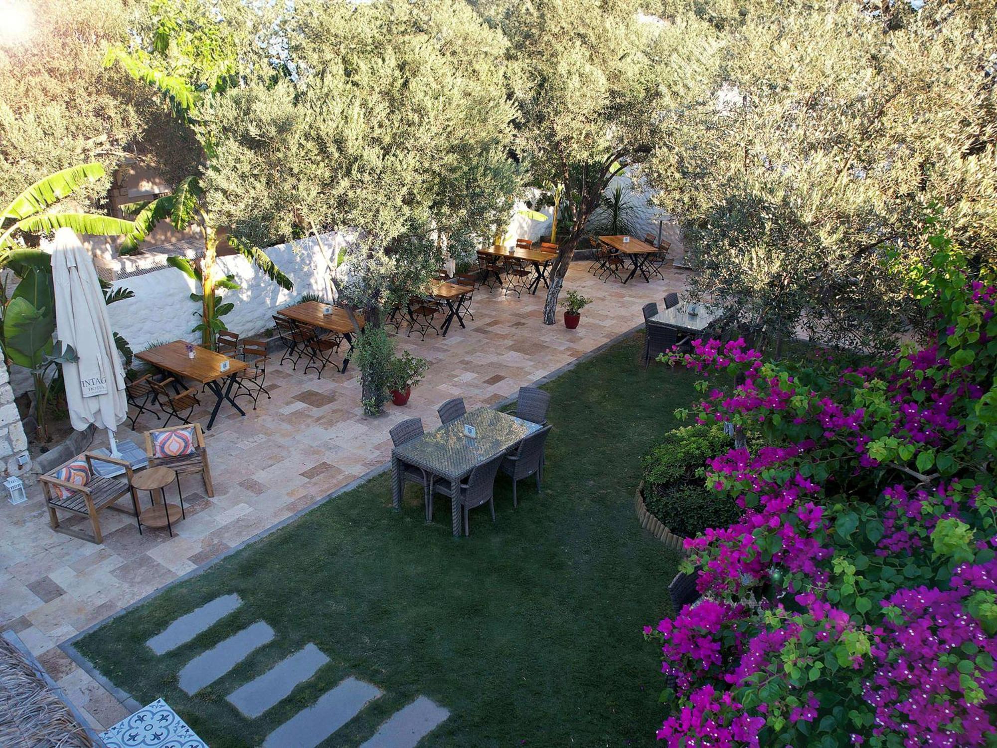 Hotel Vintage 4*