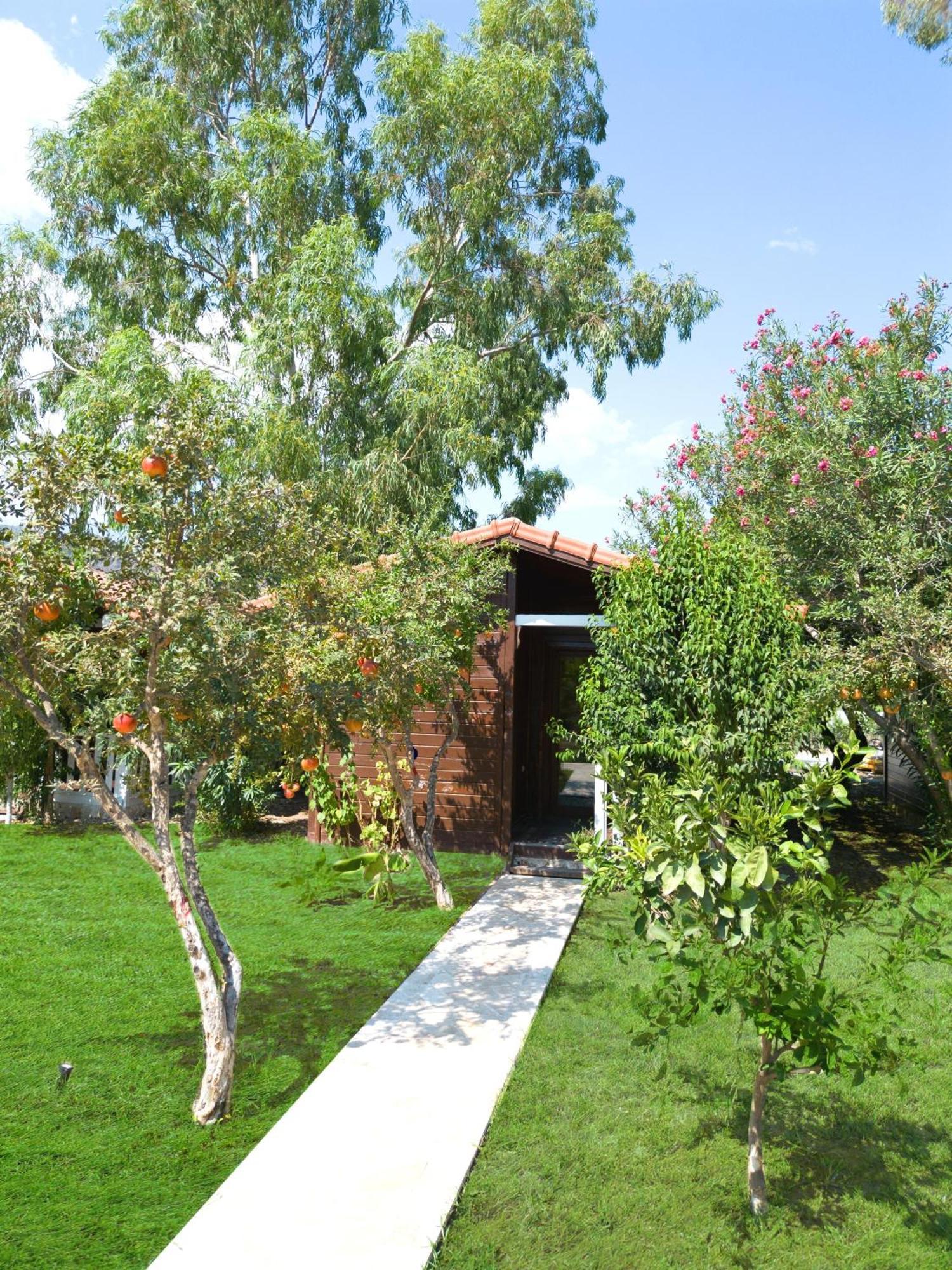 Alicra