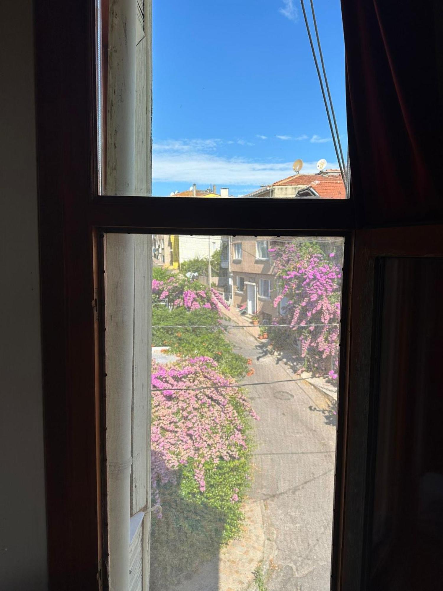Mnimi Heybeli *