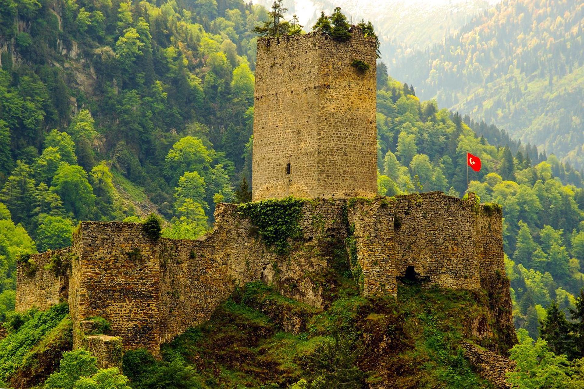 Dereli Delux * Rize