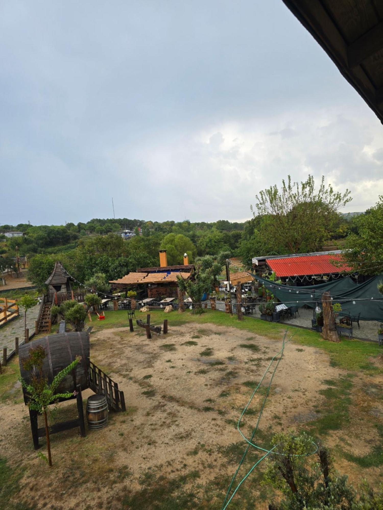Mavi At Blue Horse * Gumusdere