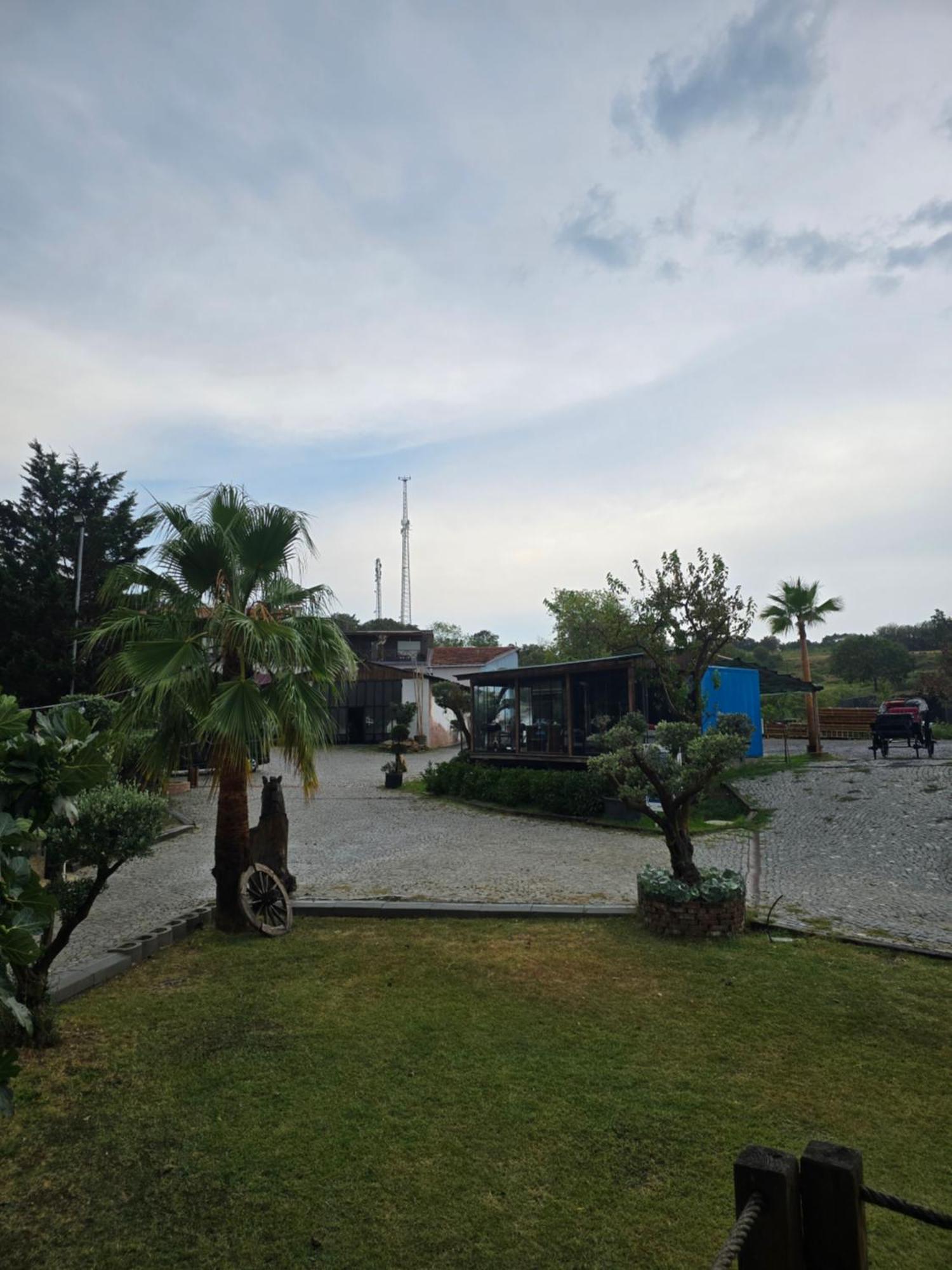 Mavi At Blue Horse Resort