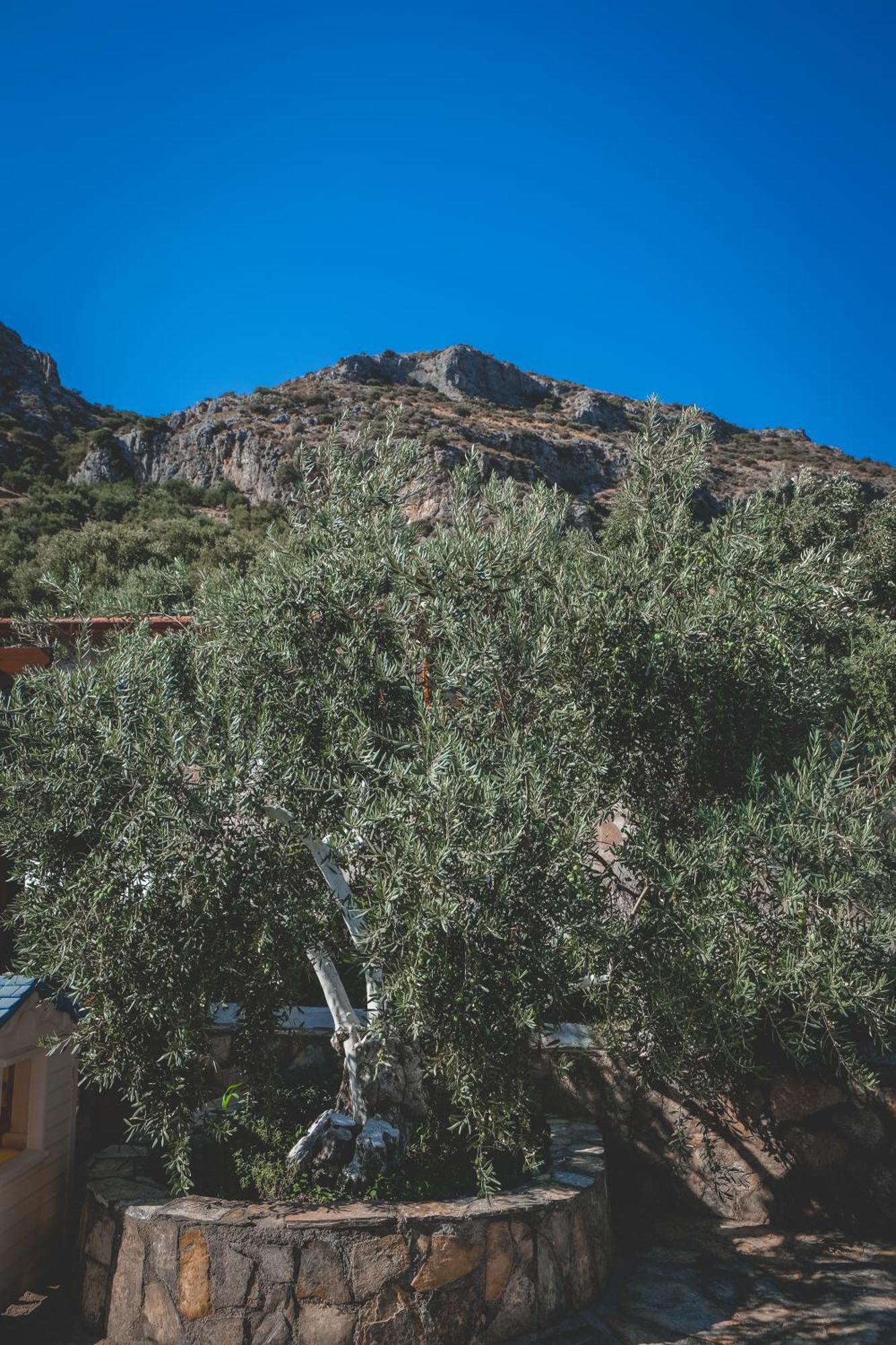 Aparthotel Natureland Efes