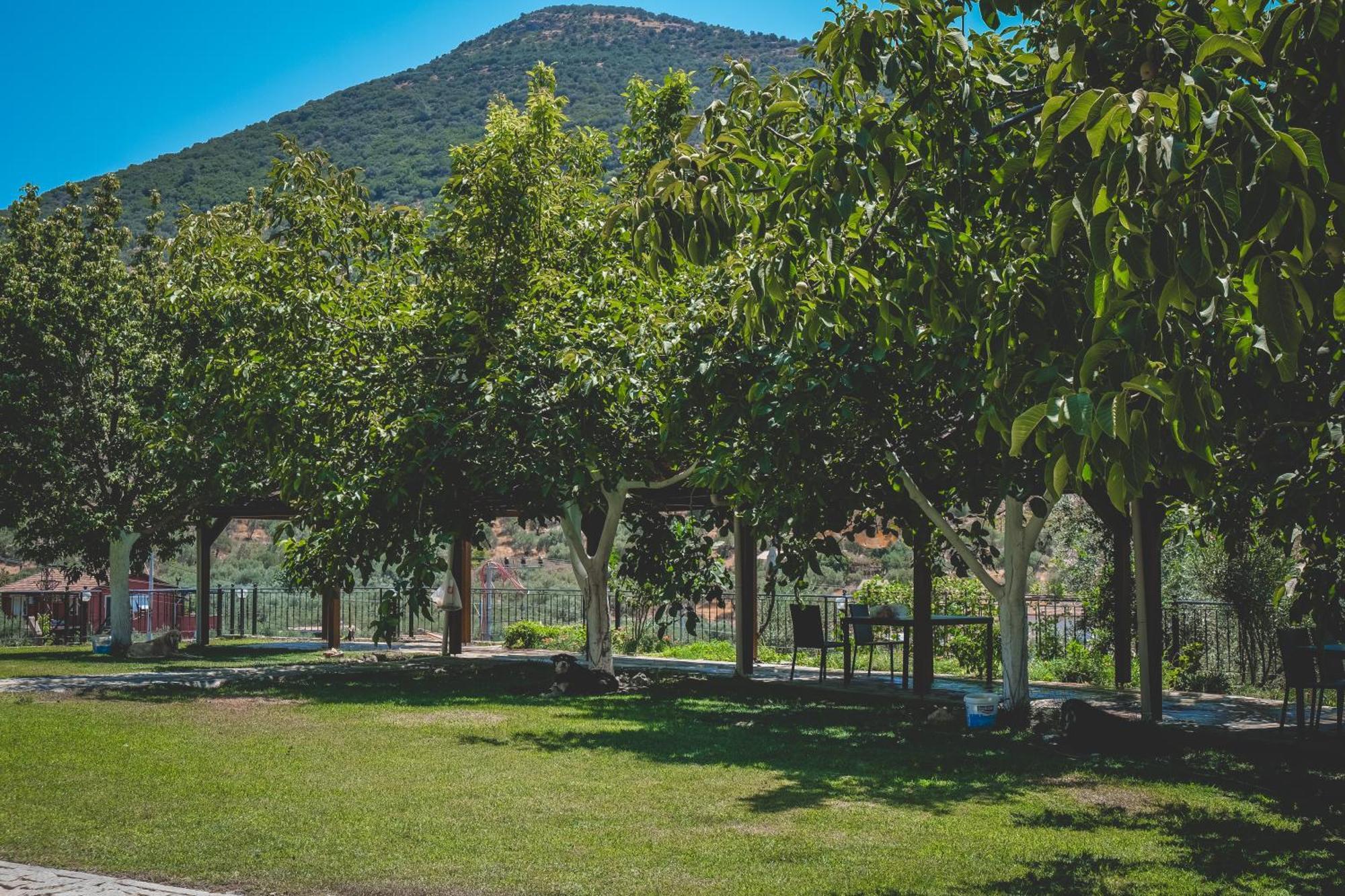 Aparthotel Natureland Efes Selcuk