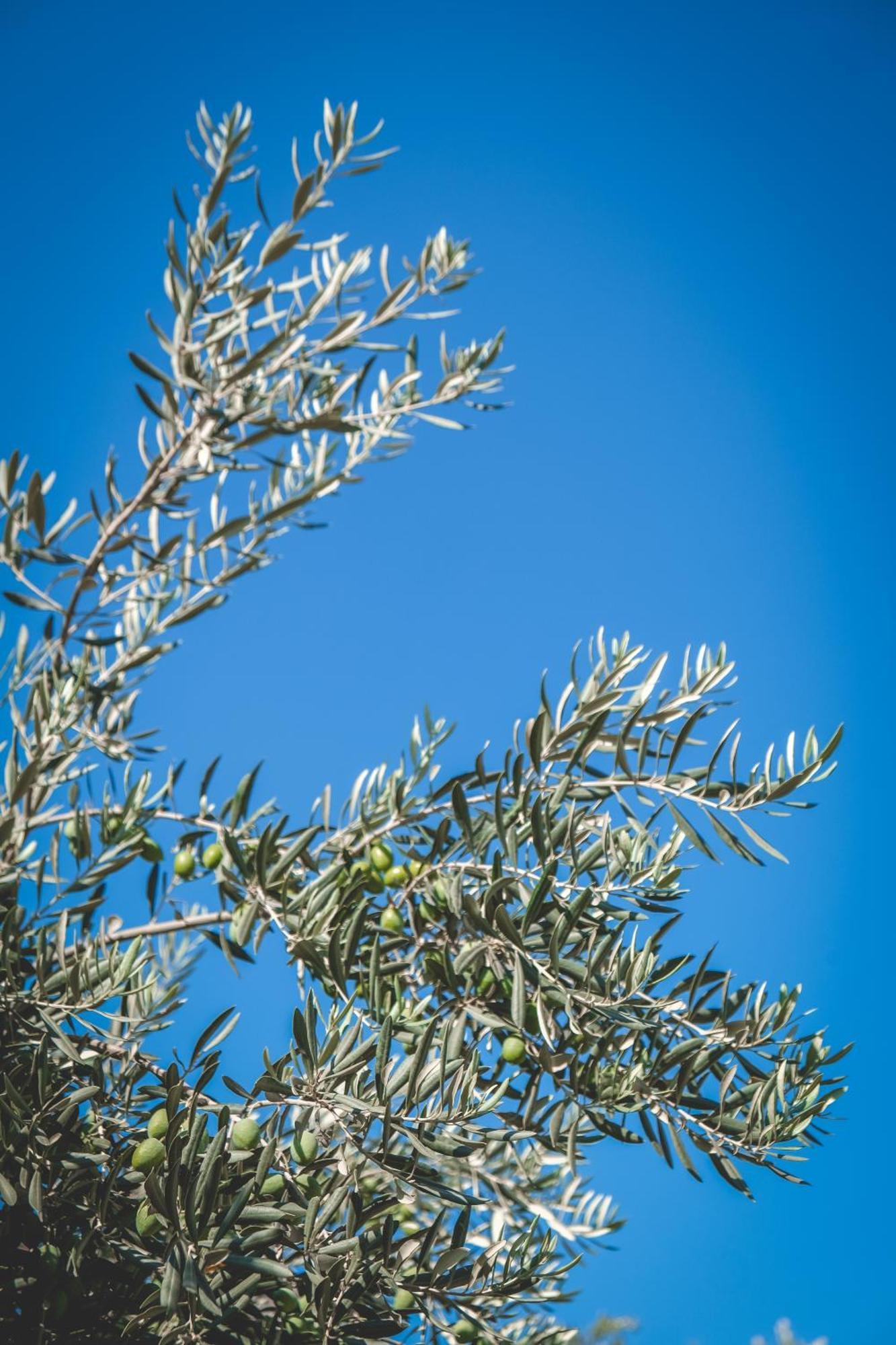 Natureland Efes 3*