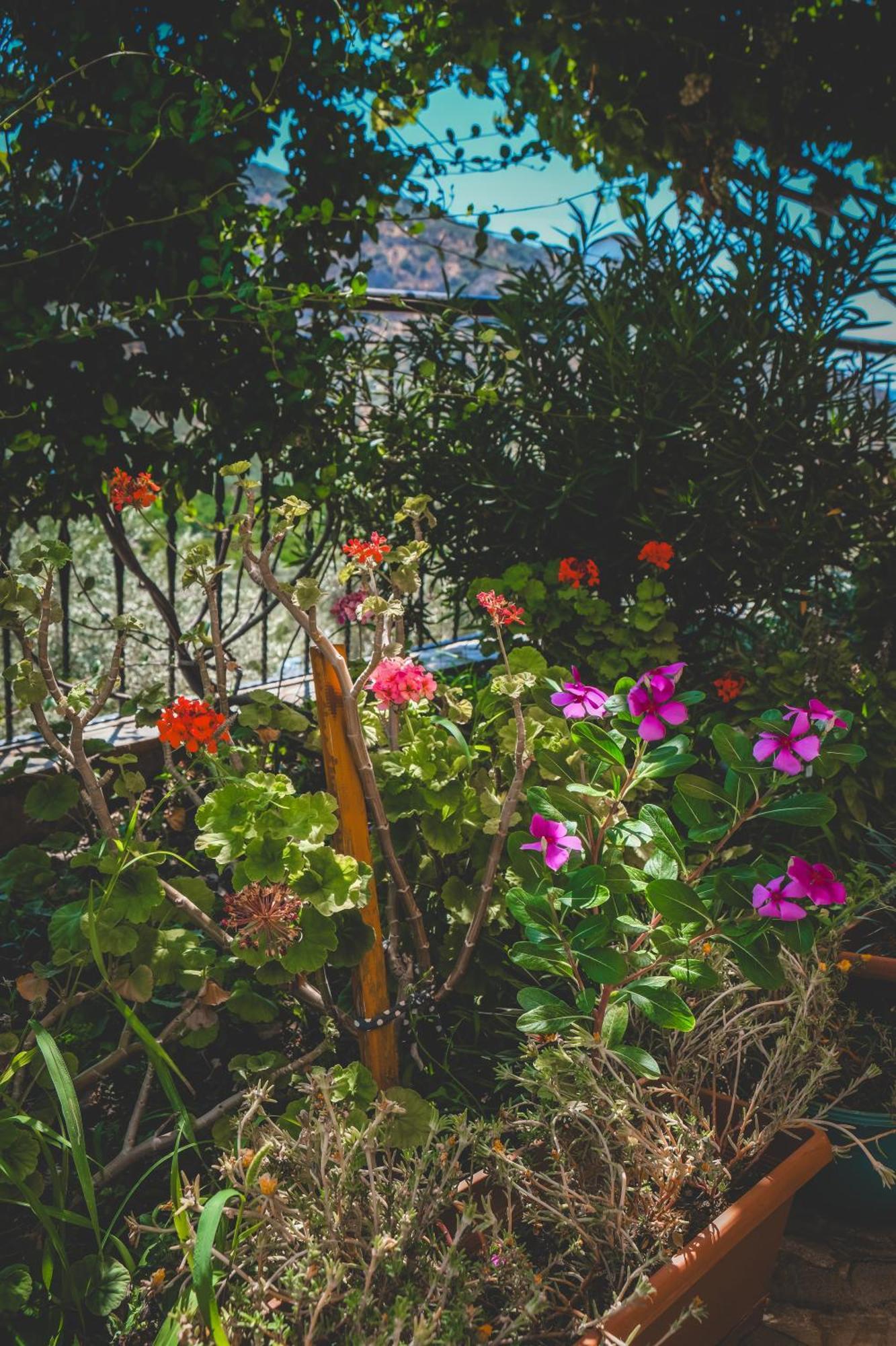 Natureland Efes Aparthotel