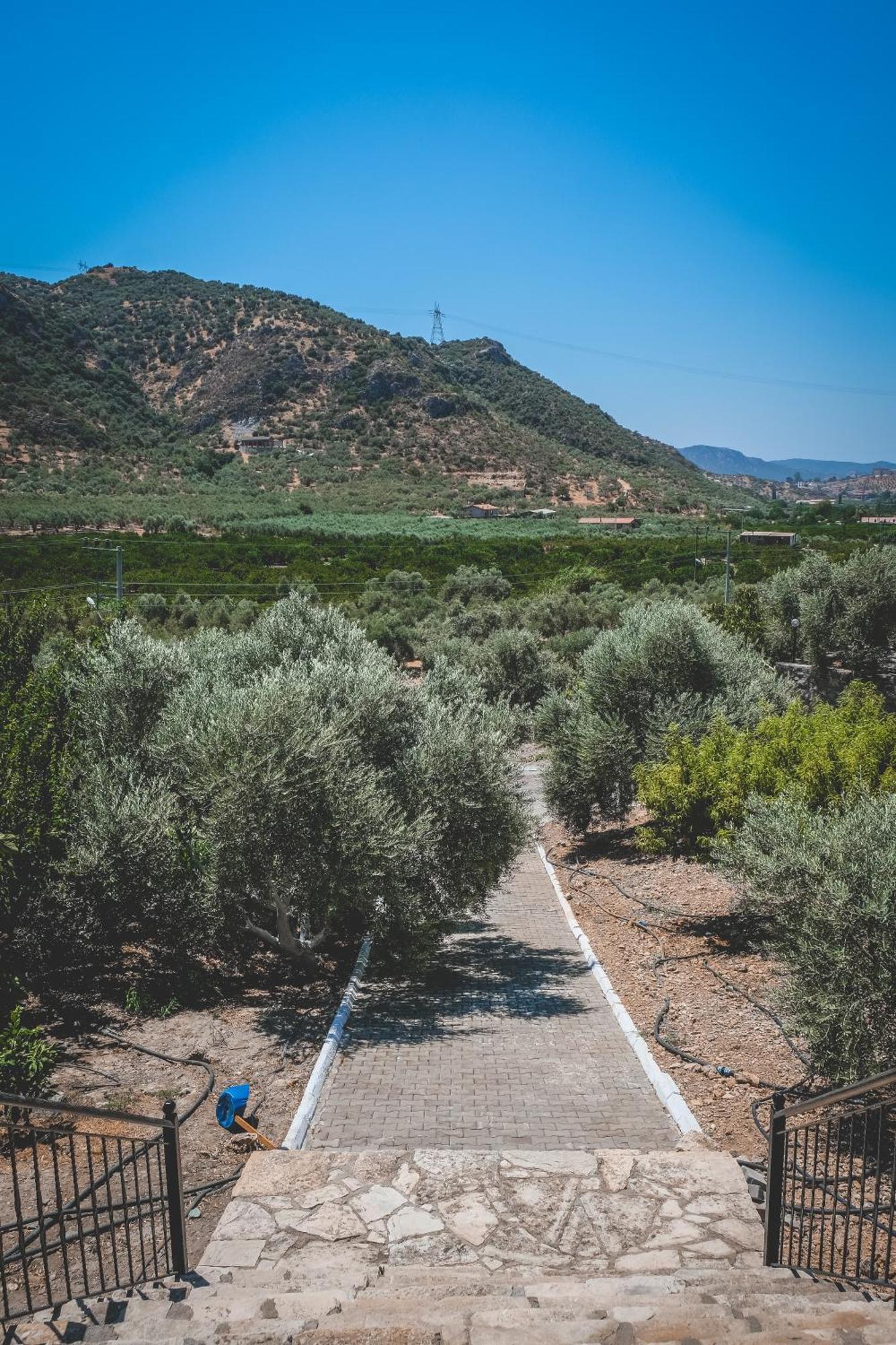 Natureland Efes Aparthotel Selcuk