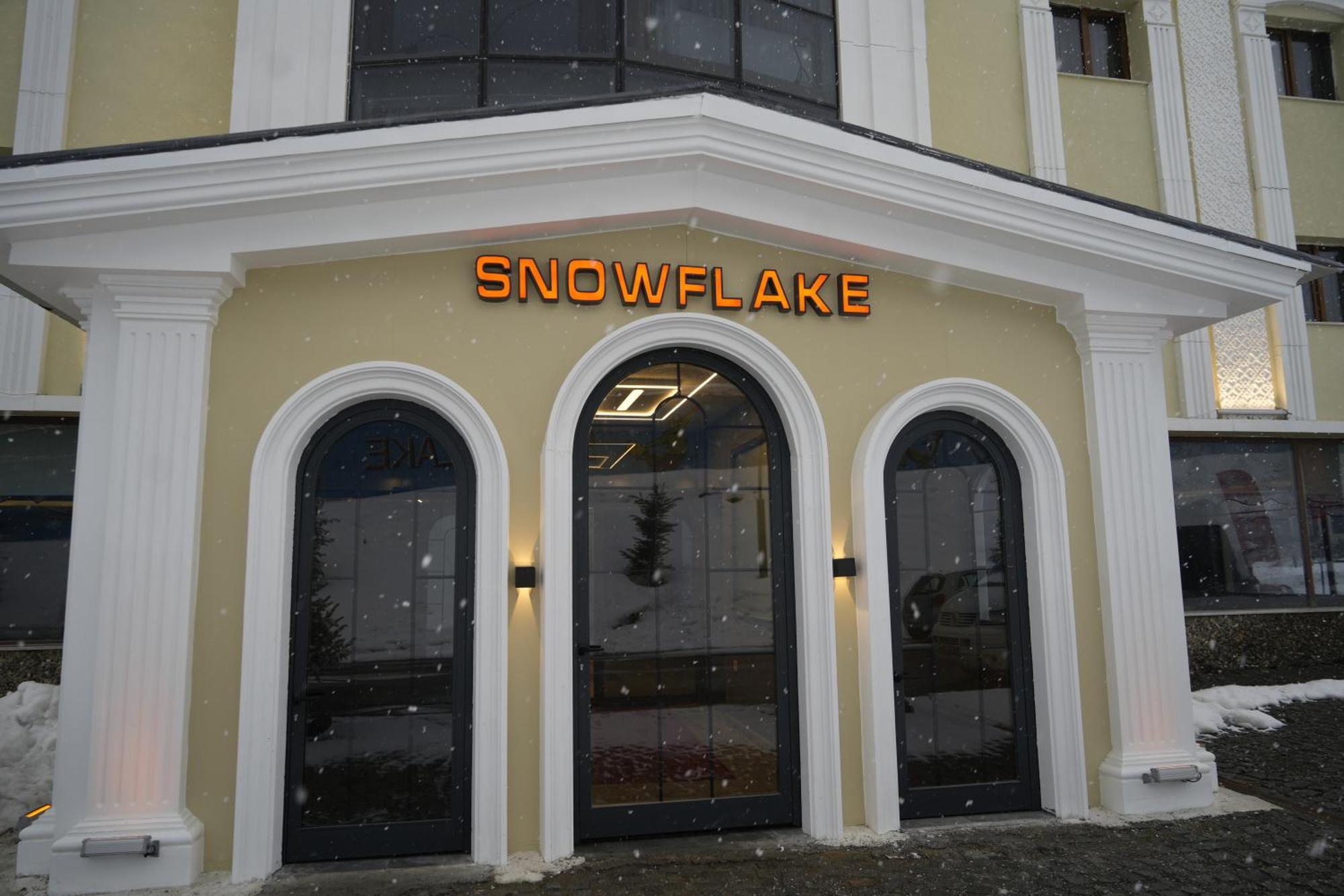 Snowflake Dag & Sarikamis